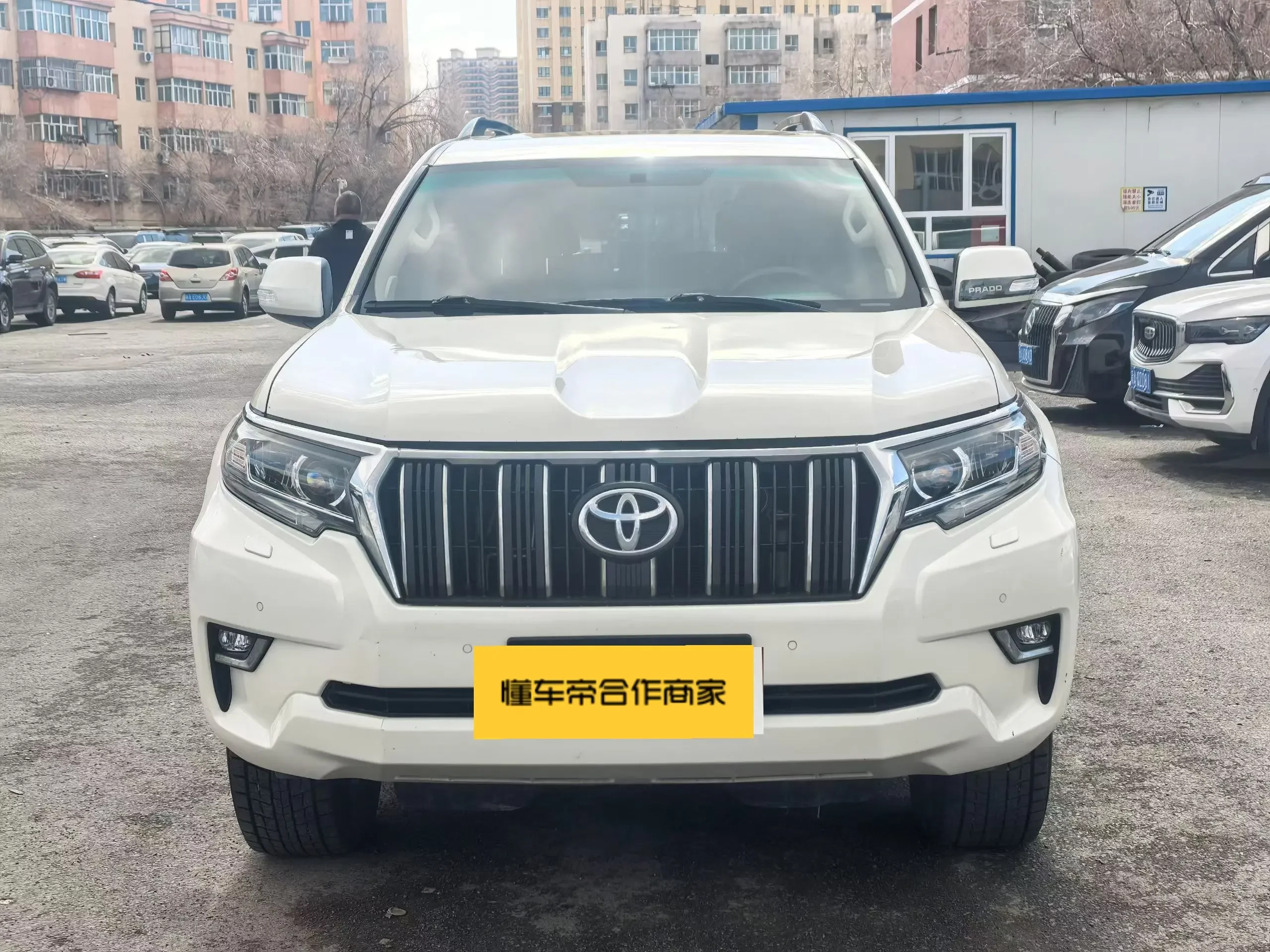 Toyota prado
