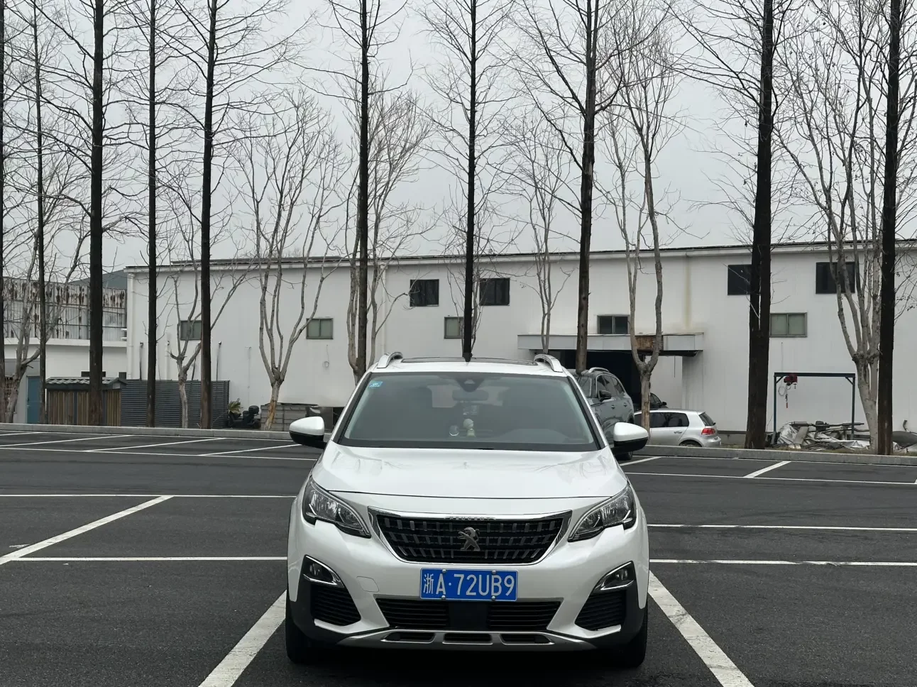 Peugeot 4008