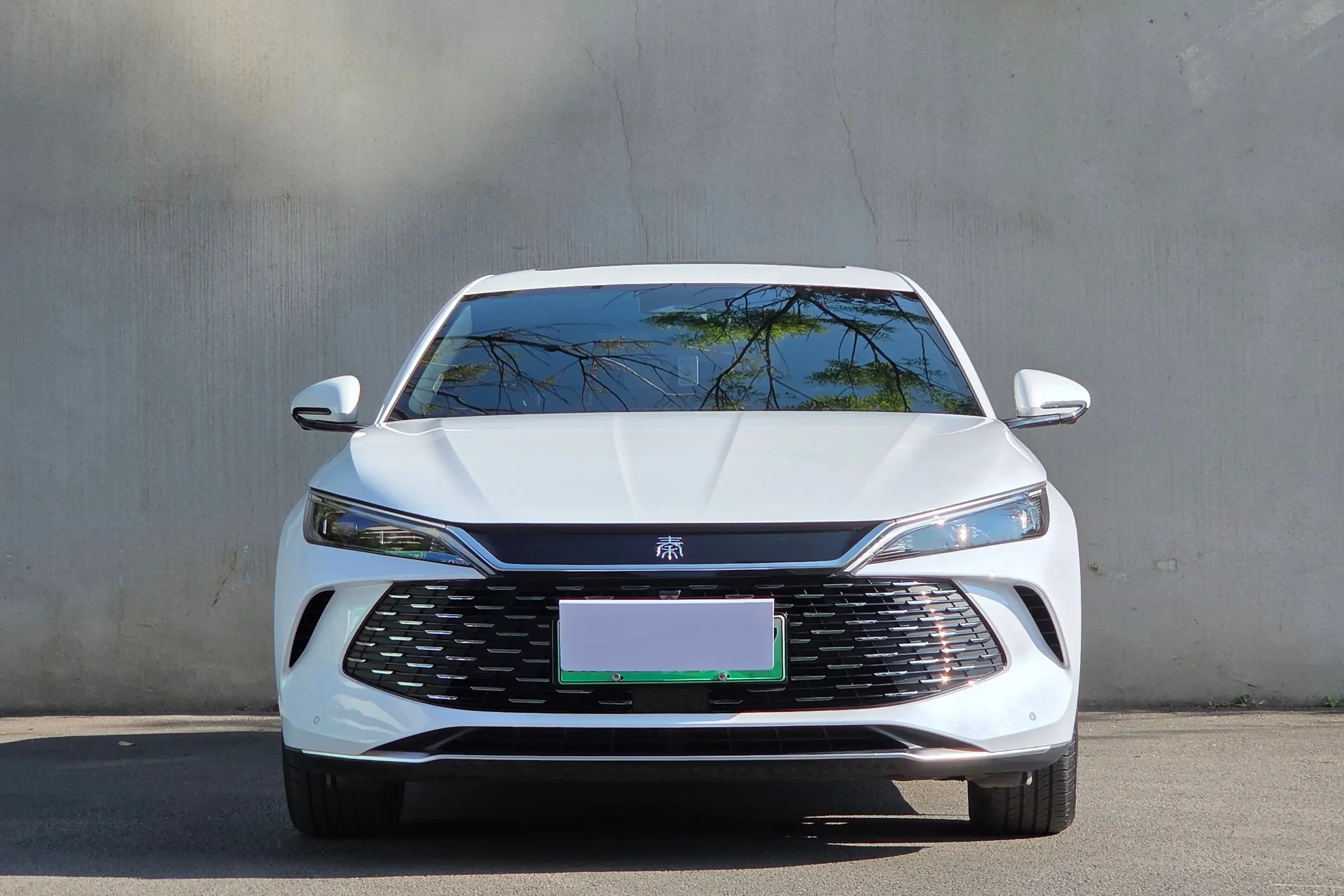 BYD Qin L DM
