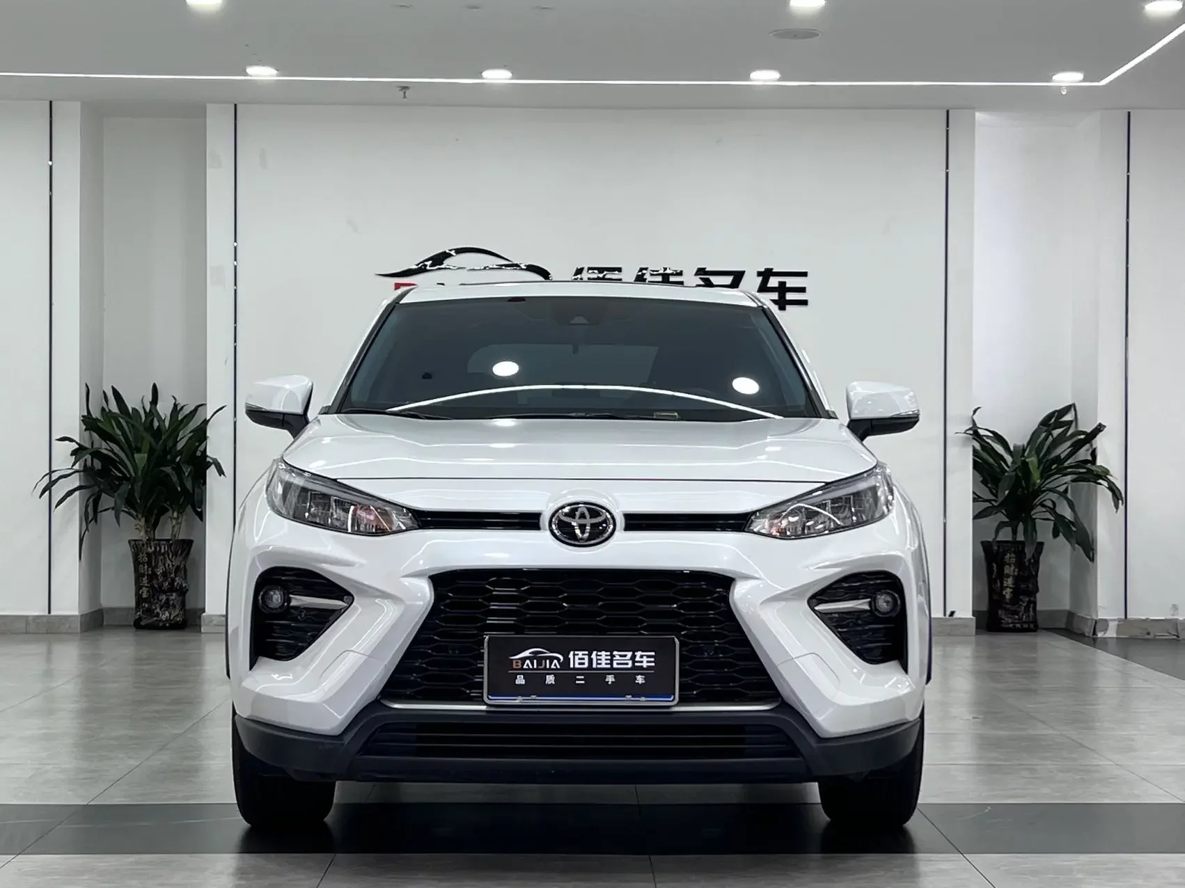 Toyota Willanda