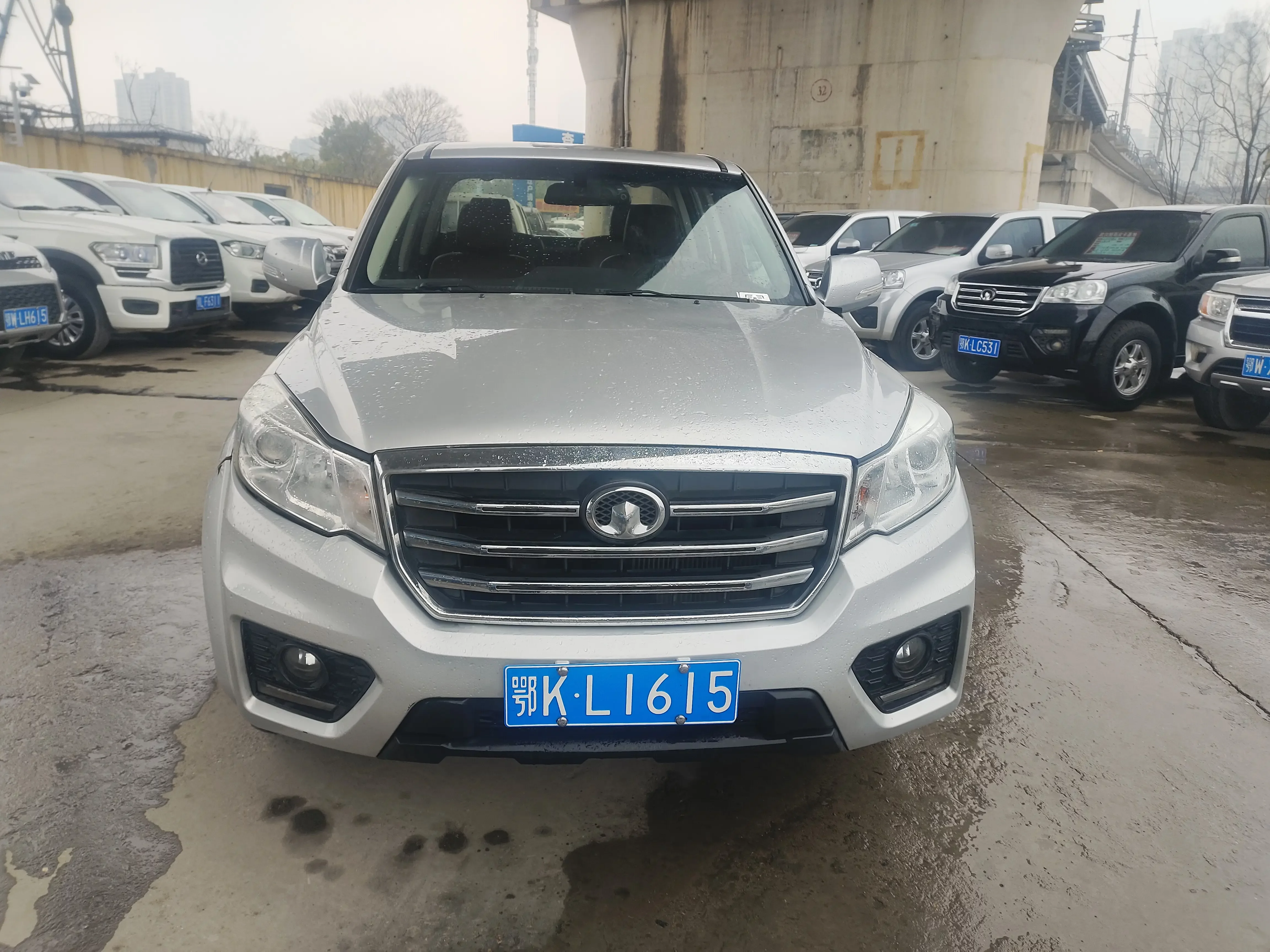Great Wall Wing Jun 6