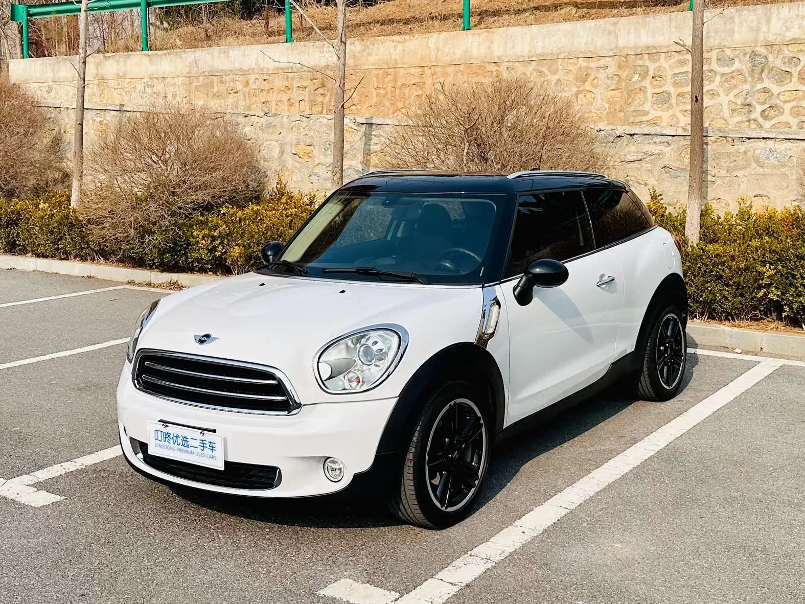 MINI PACEMAN