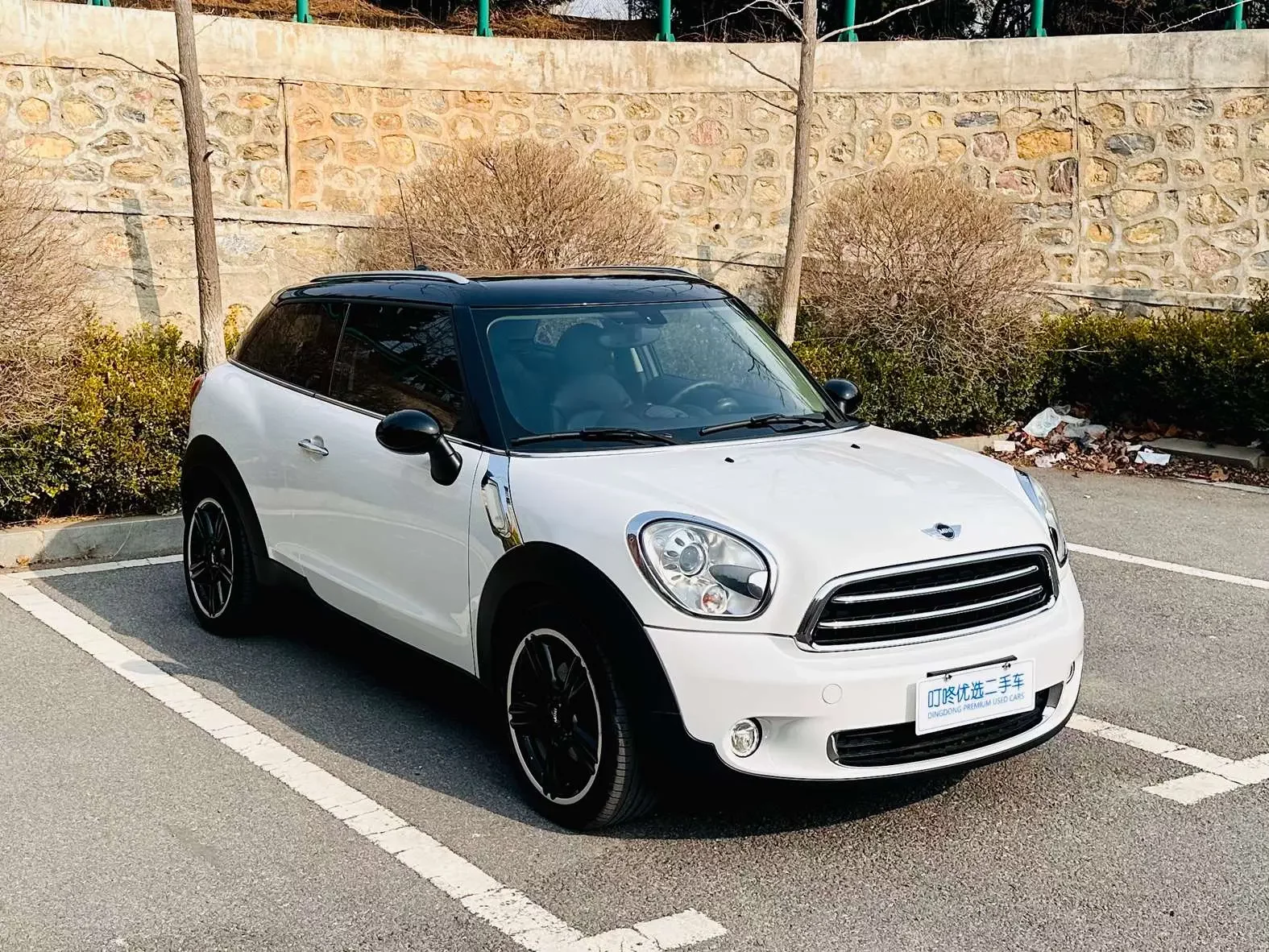 MINI PACEMAN
