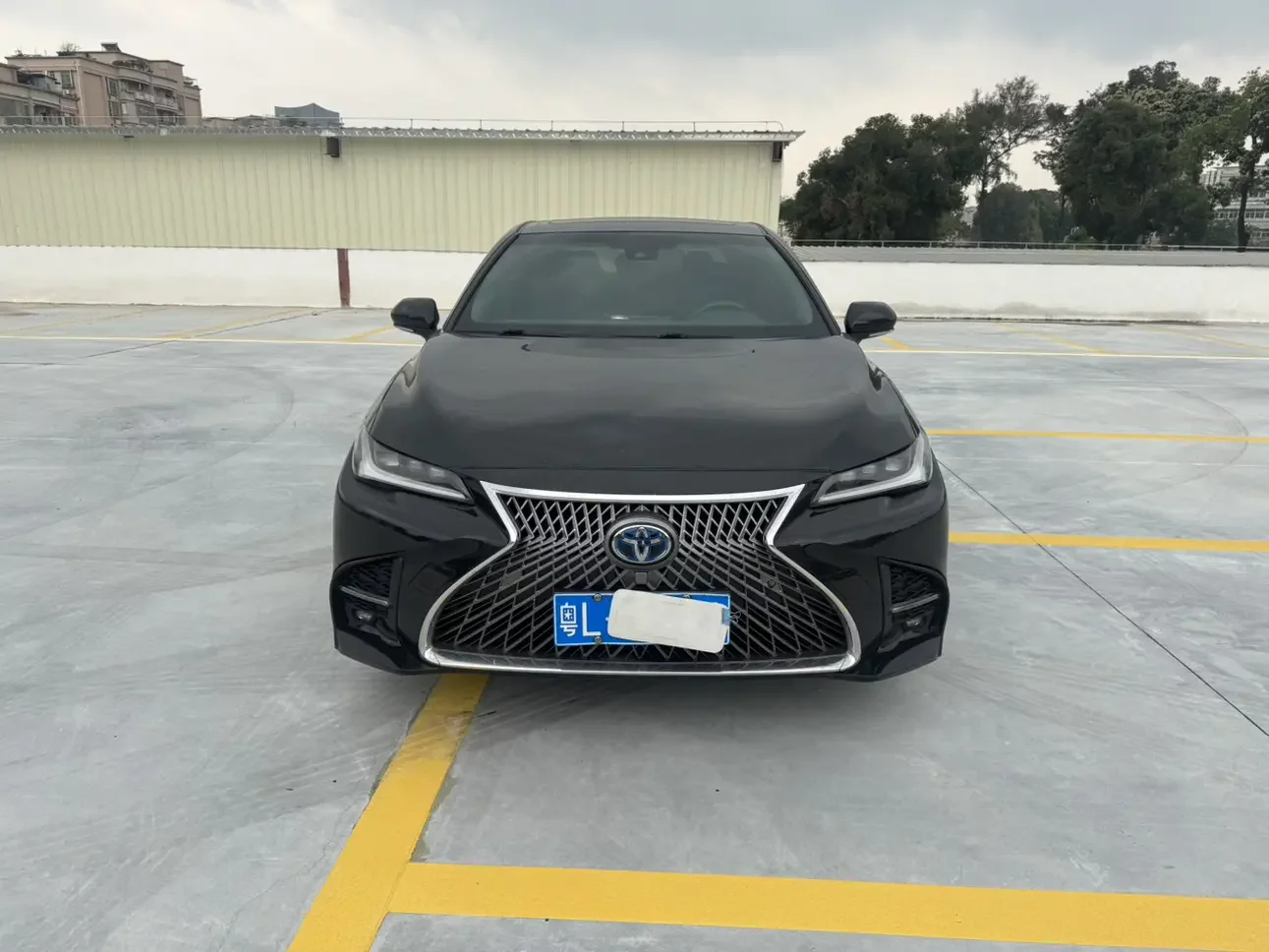 Toyota Avalon