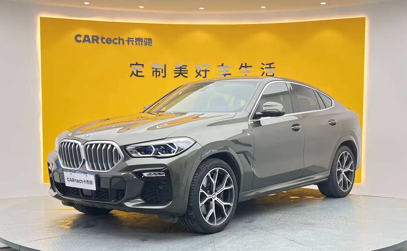 BMW X6