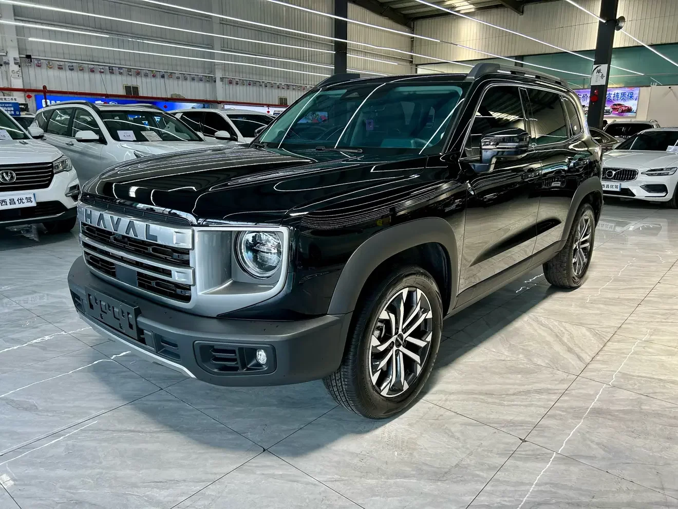 Haval Dargo