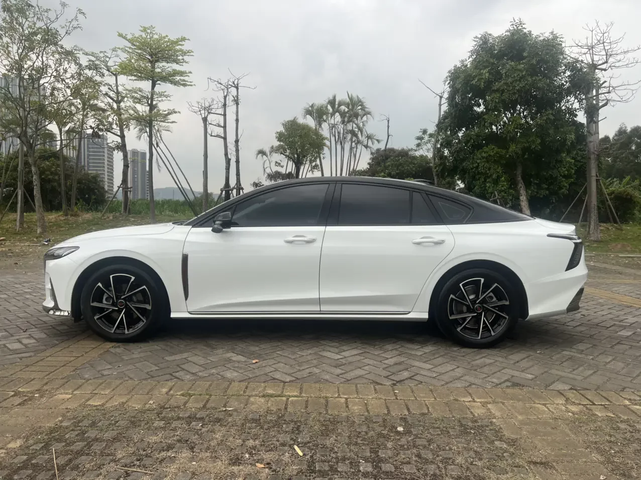 Hongqi H6
