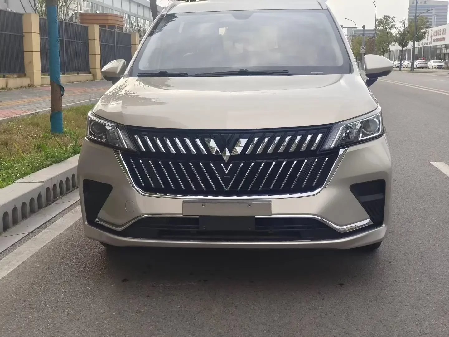 Wuling Jiachen