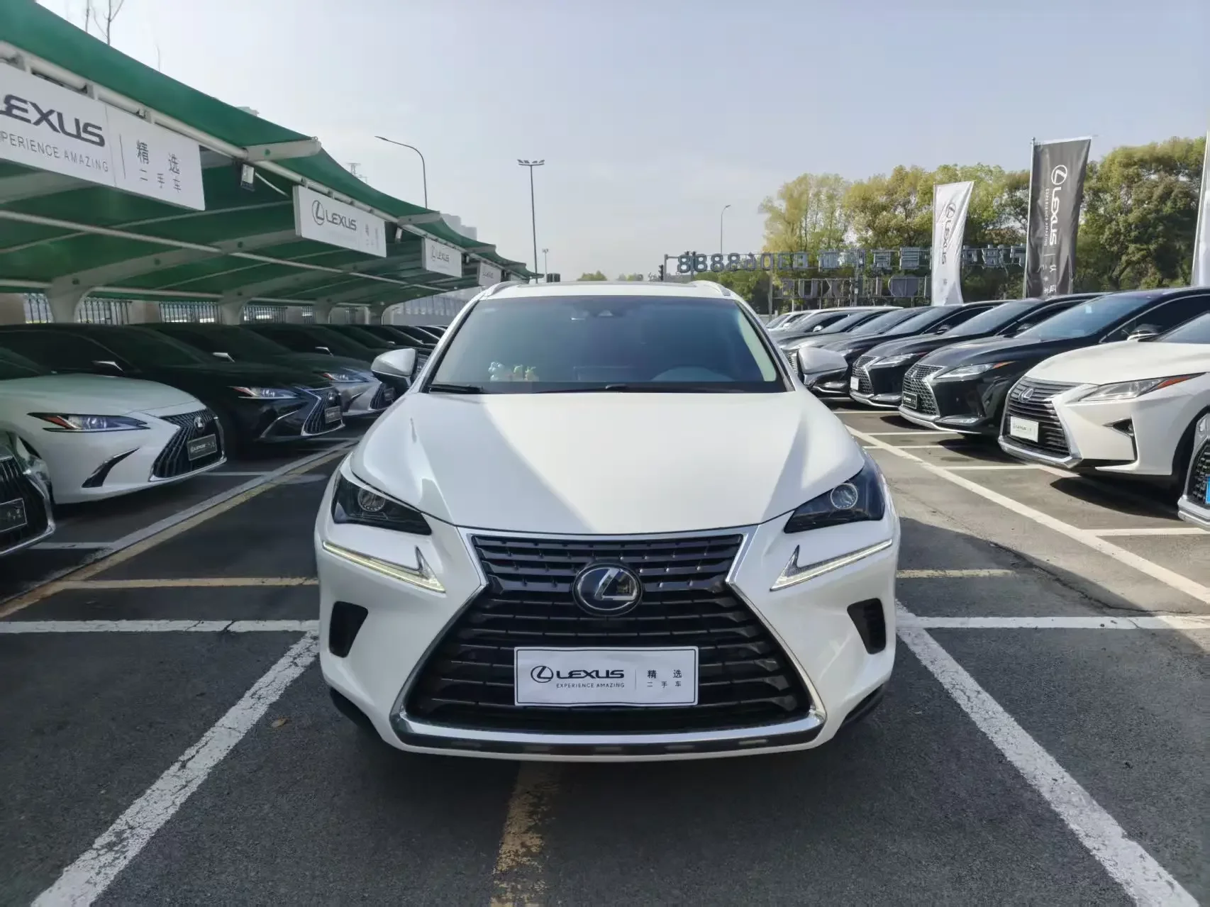 Lexus NX