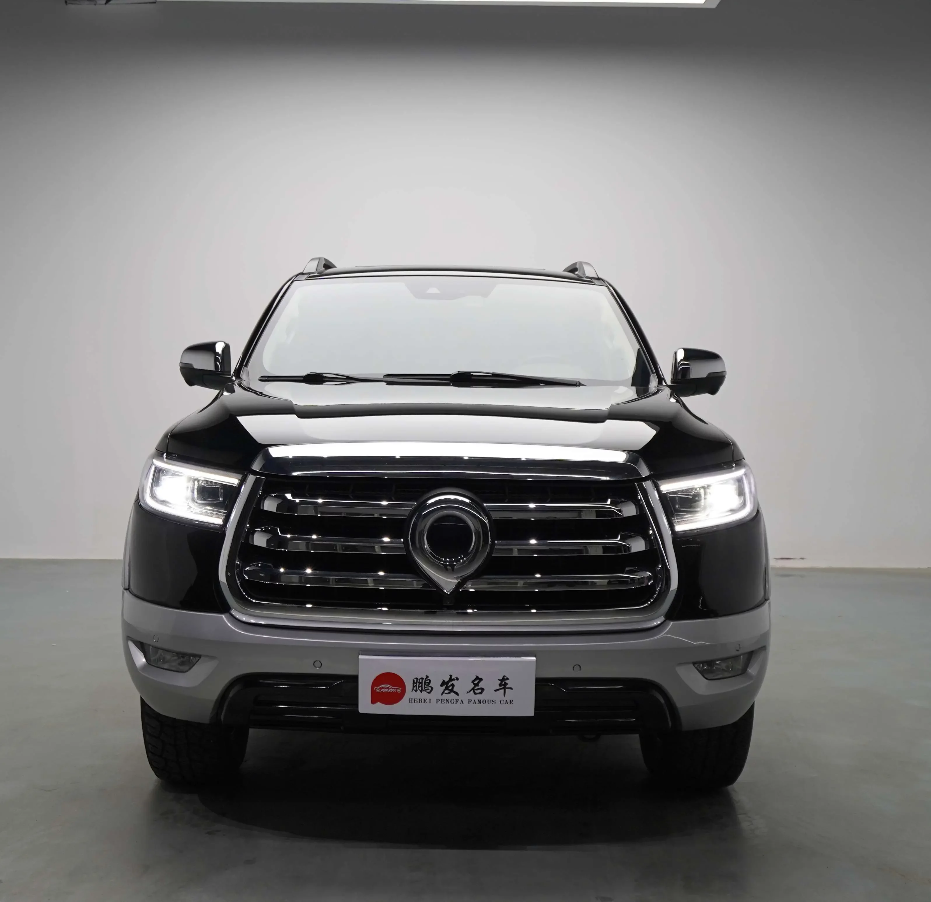 Great Wall Poer