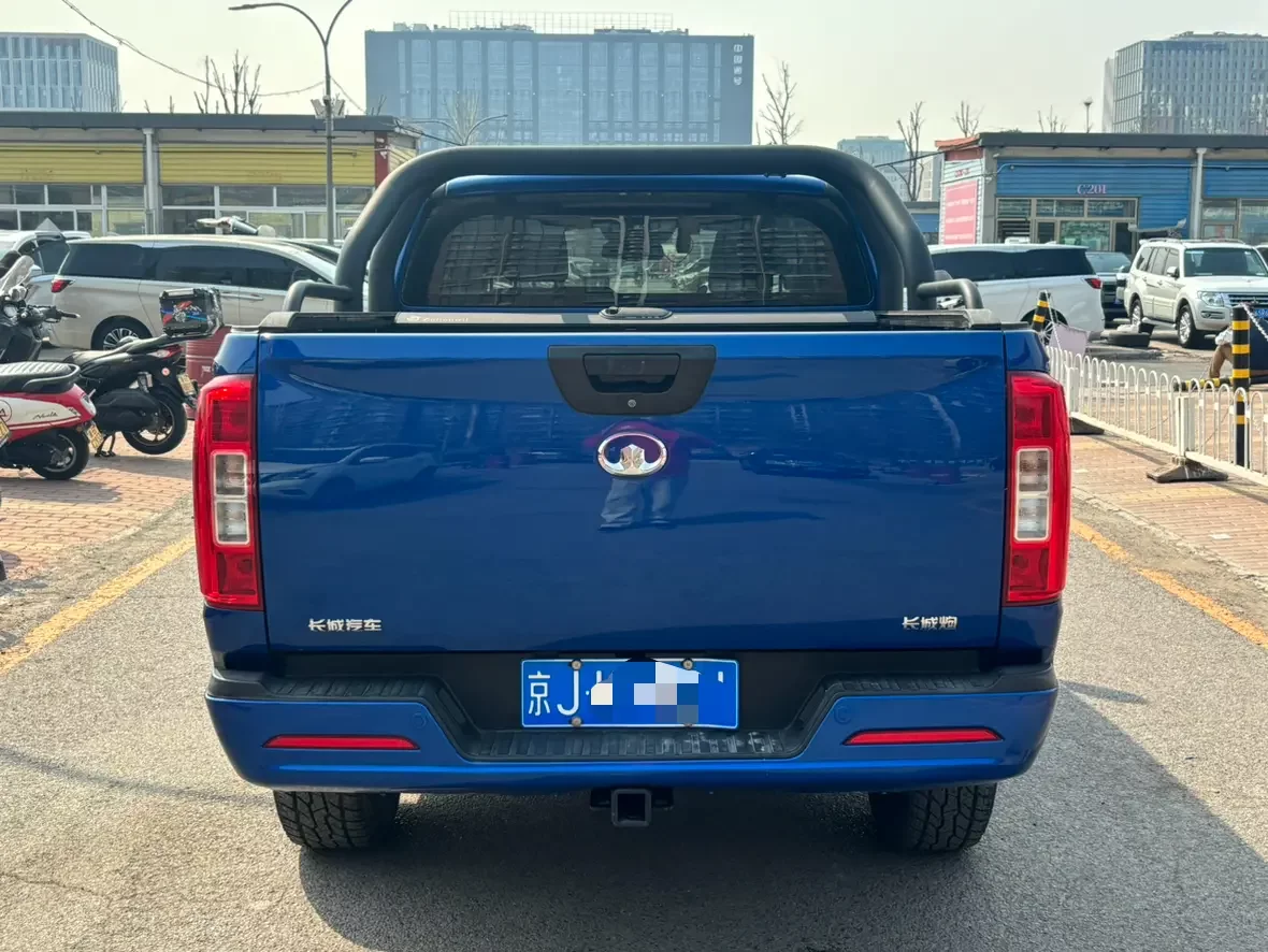 Great Wall gun