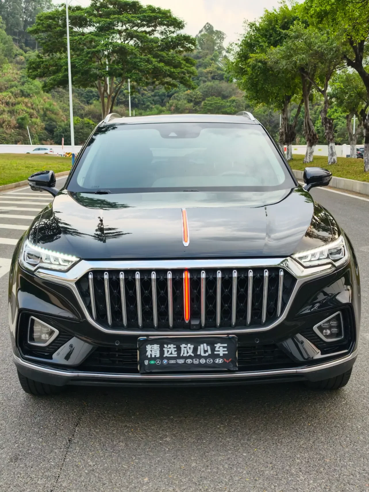 Hongqi HS5