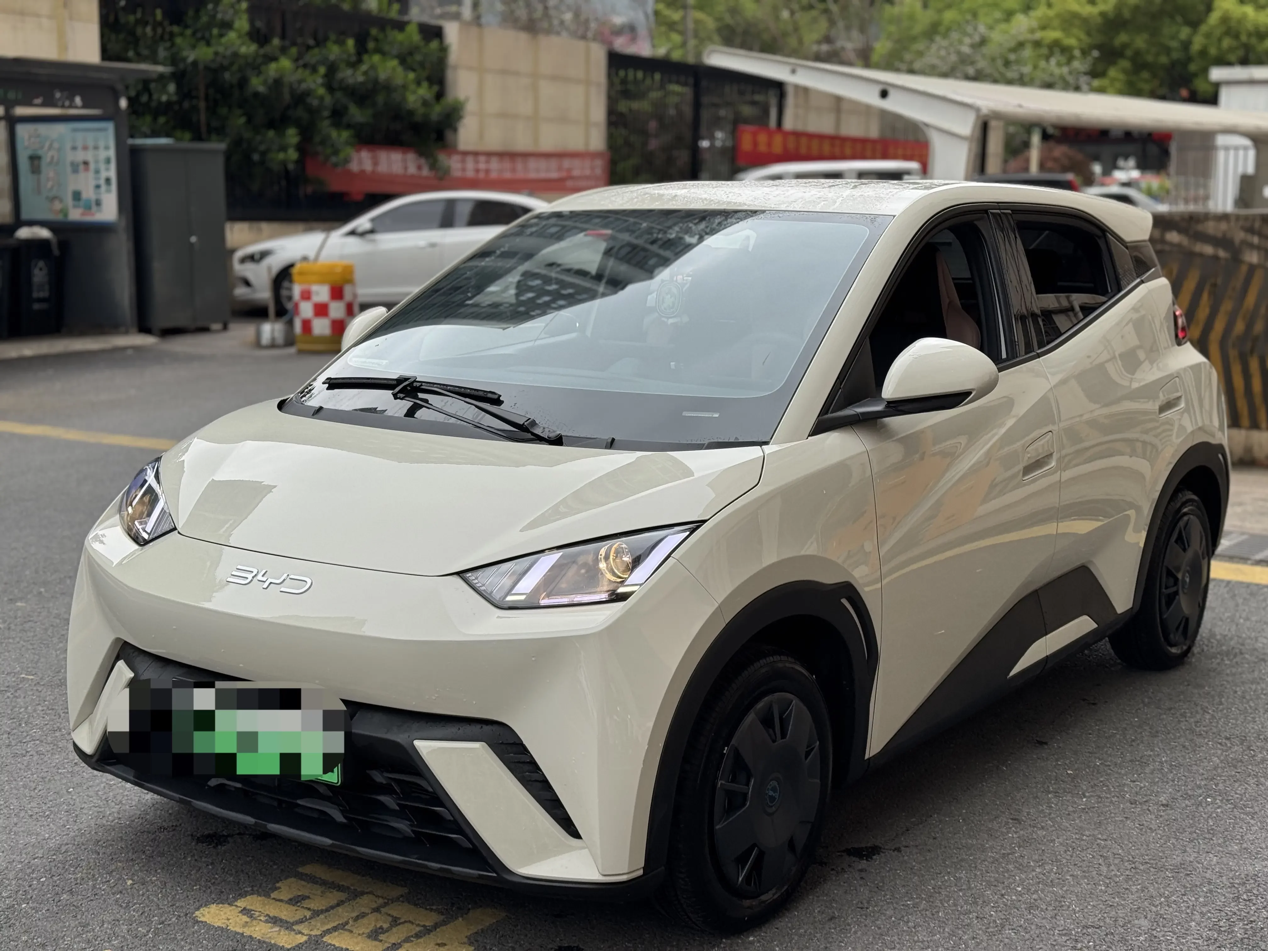 BYD seagull