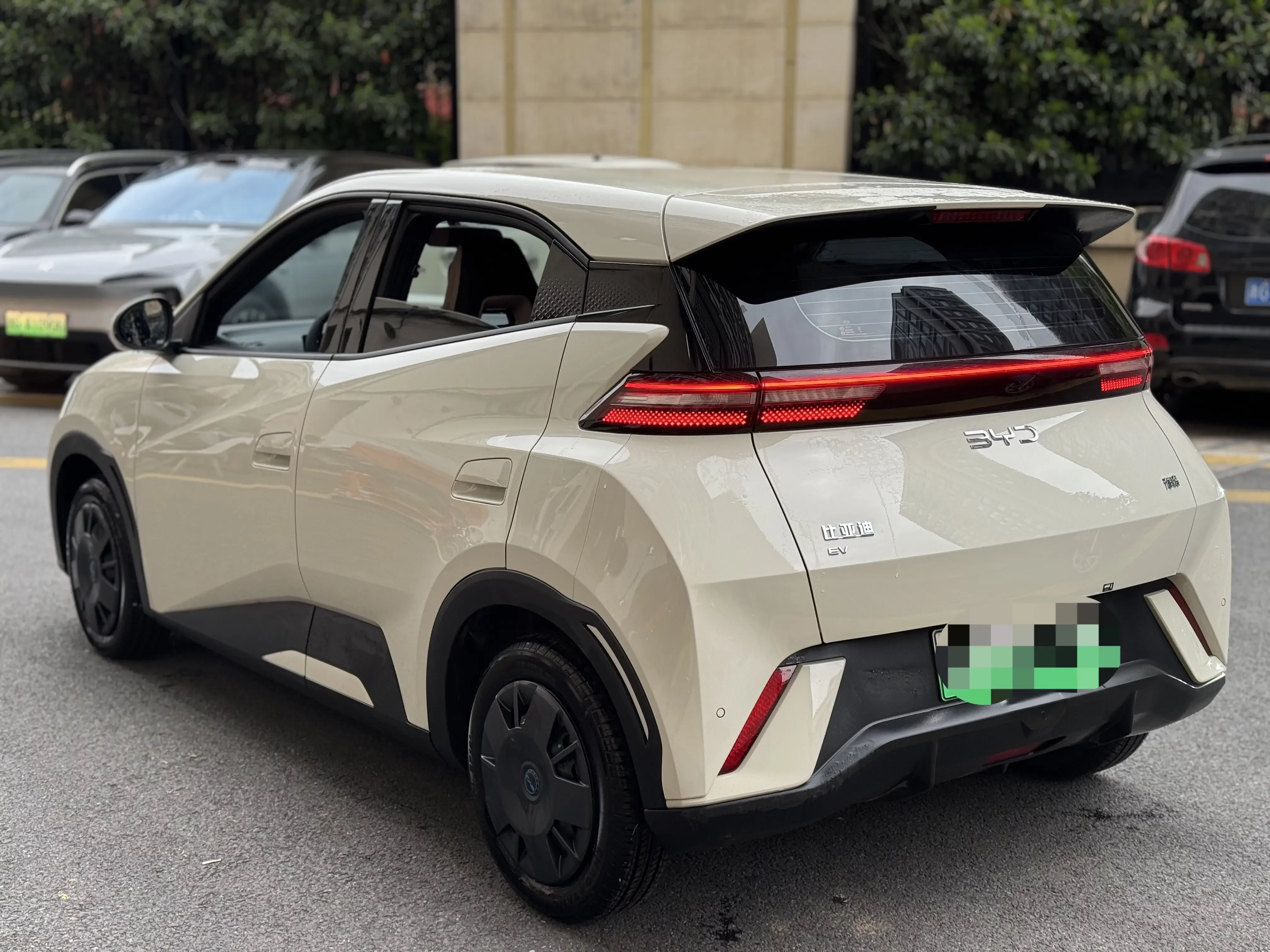 BYD seagull