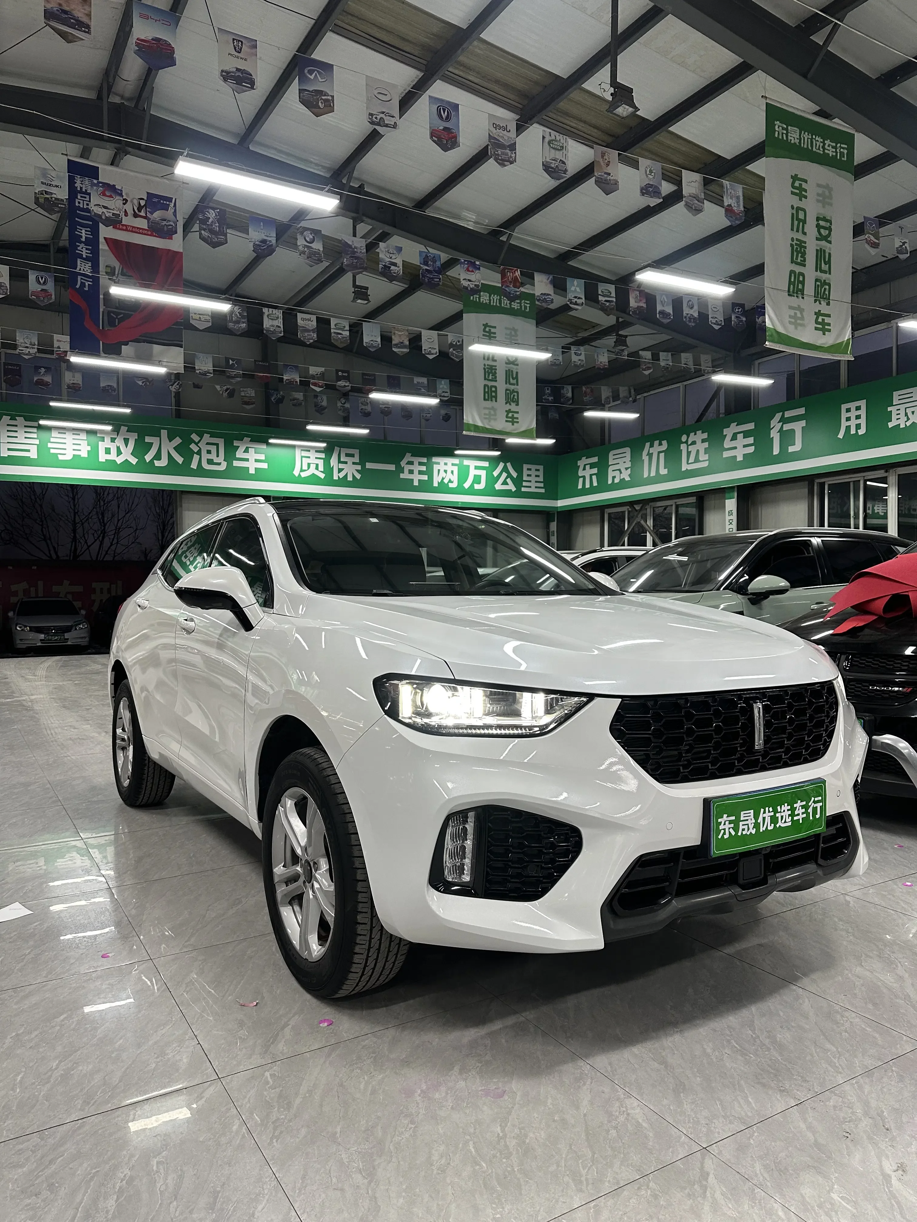 Wey Wei brand VV5