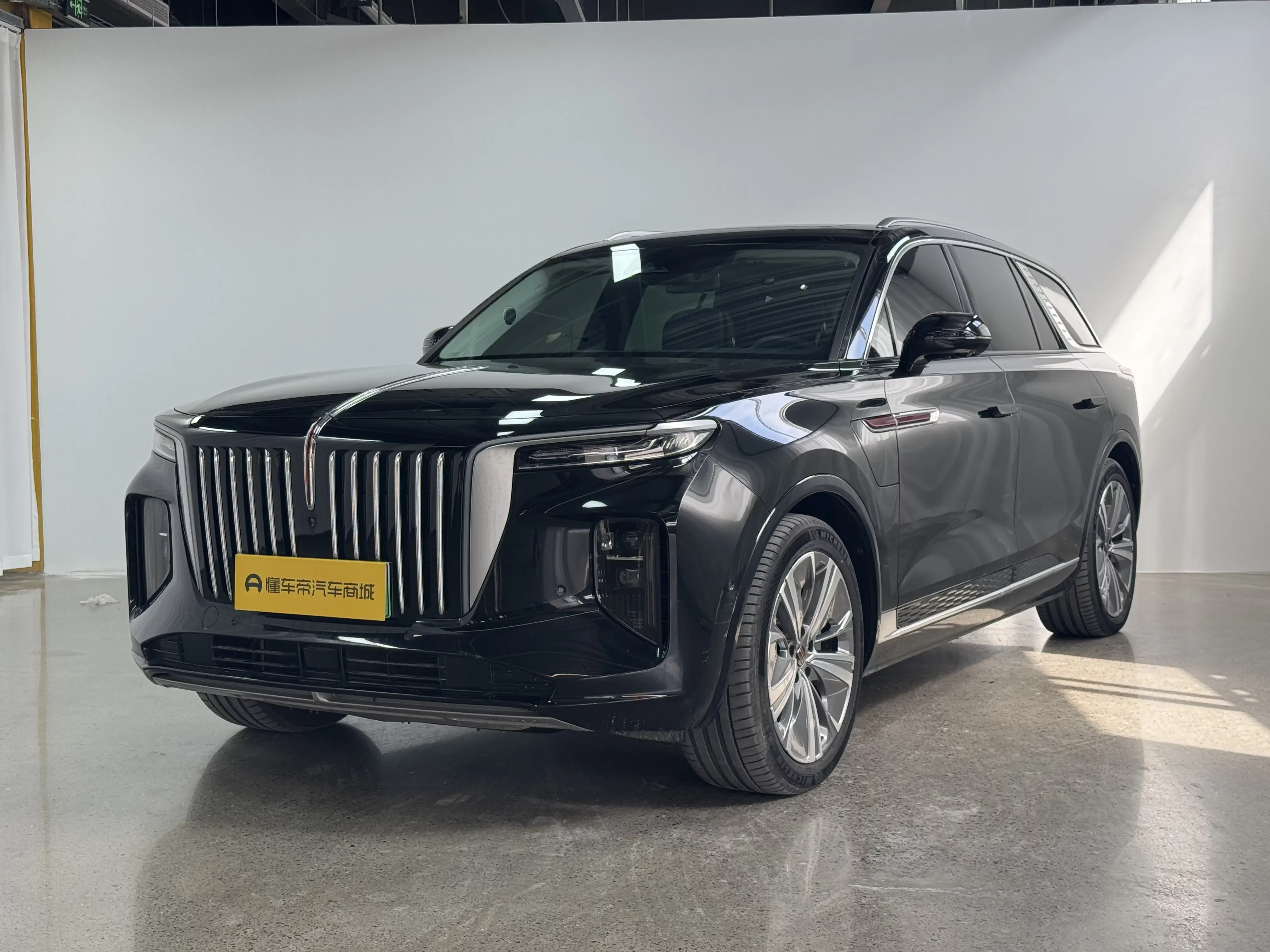 Hongqi E-HS9