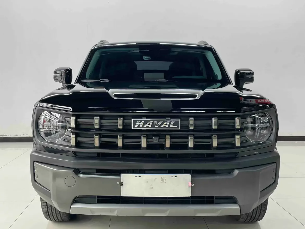 Haval cool dog