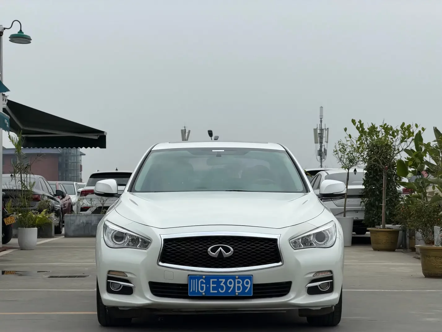 Infiniti Q50L