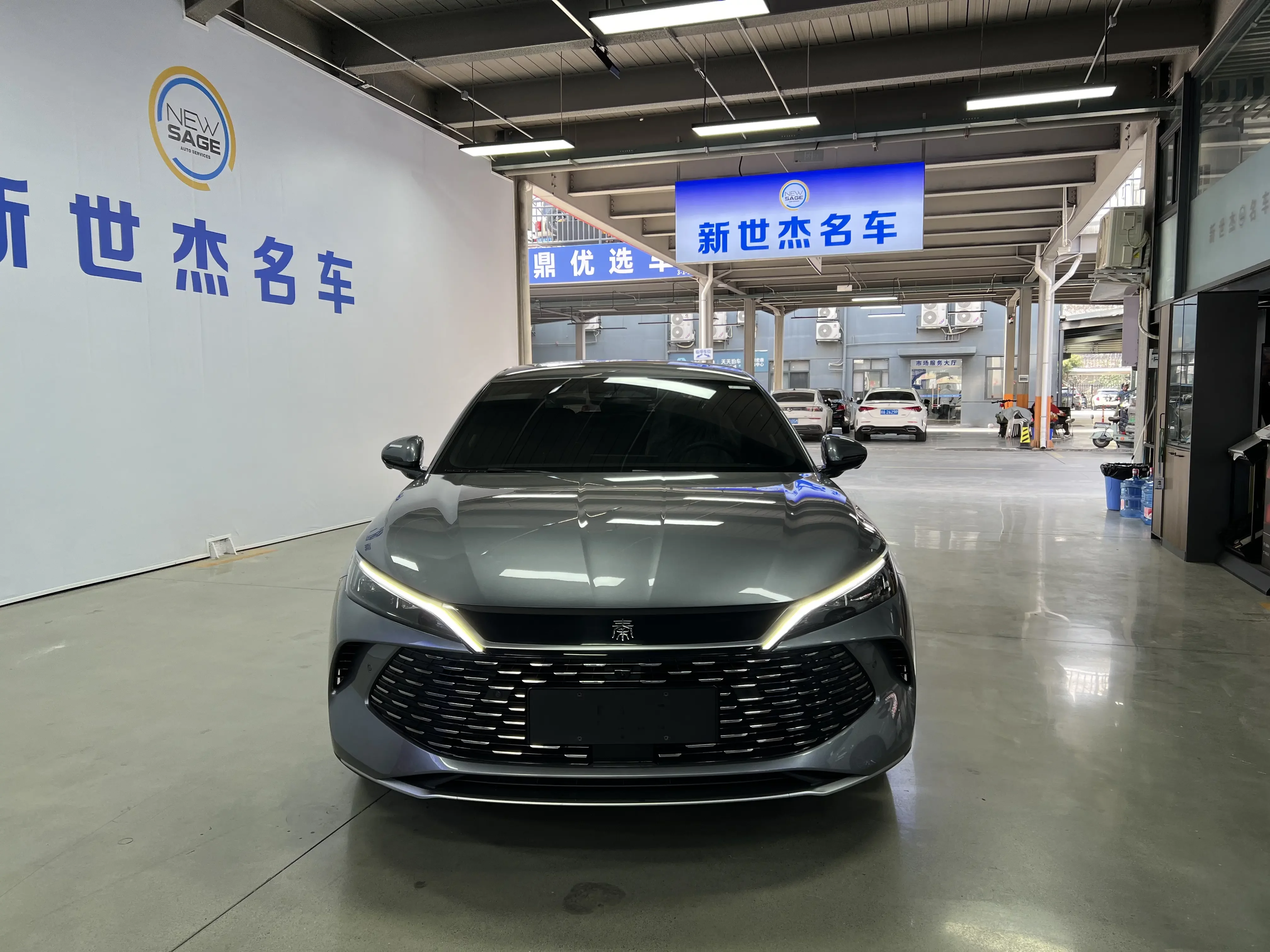 BYD Qin L DM