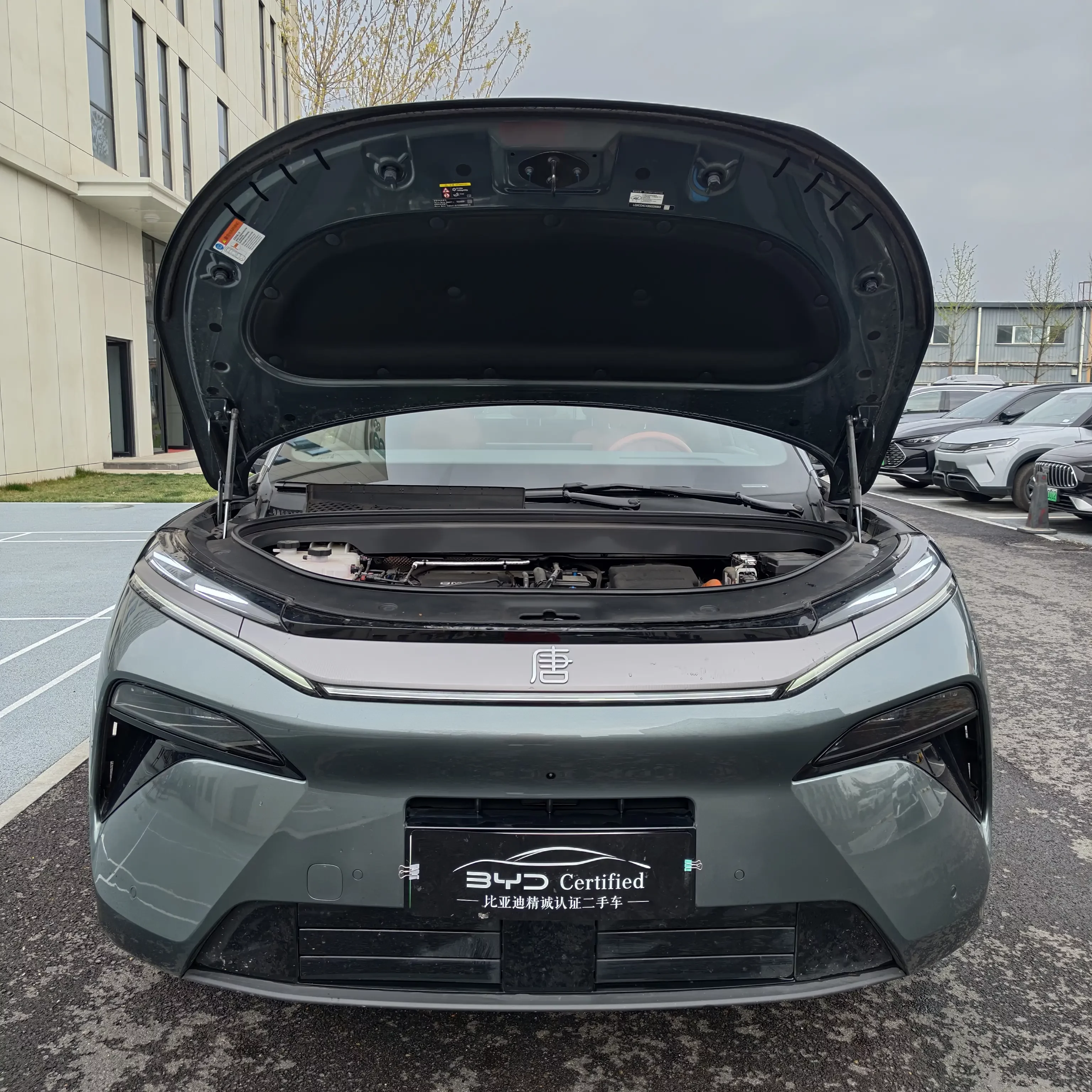 BYD Tang L DM
