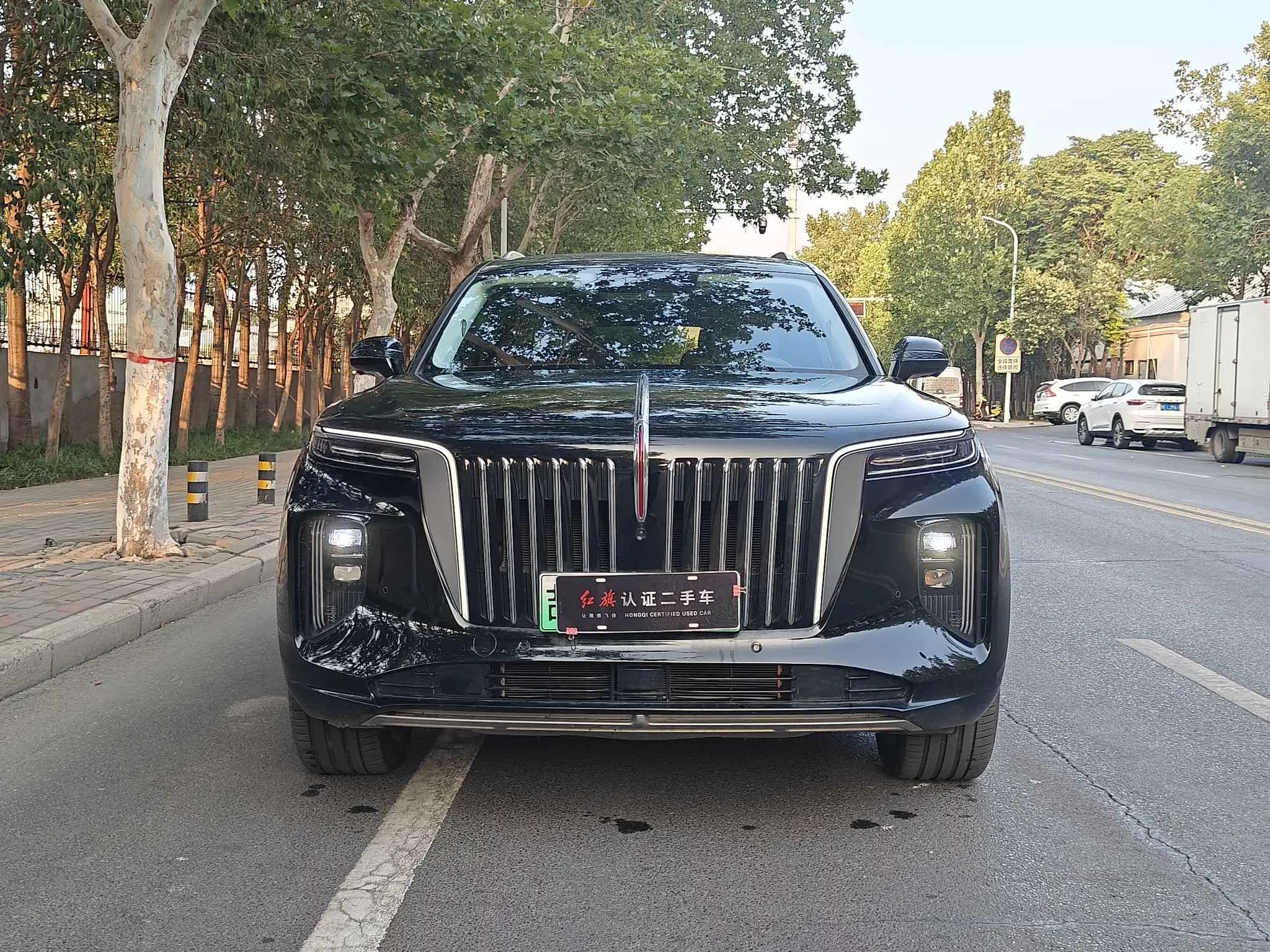 Hongqi E-HS9