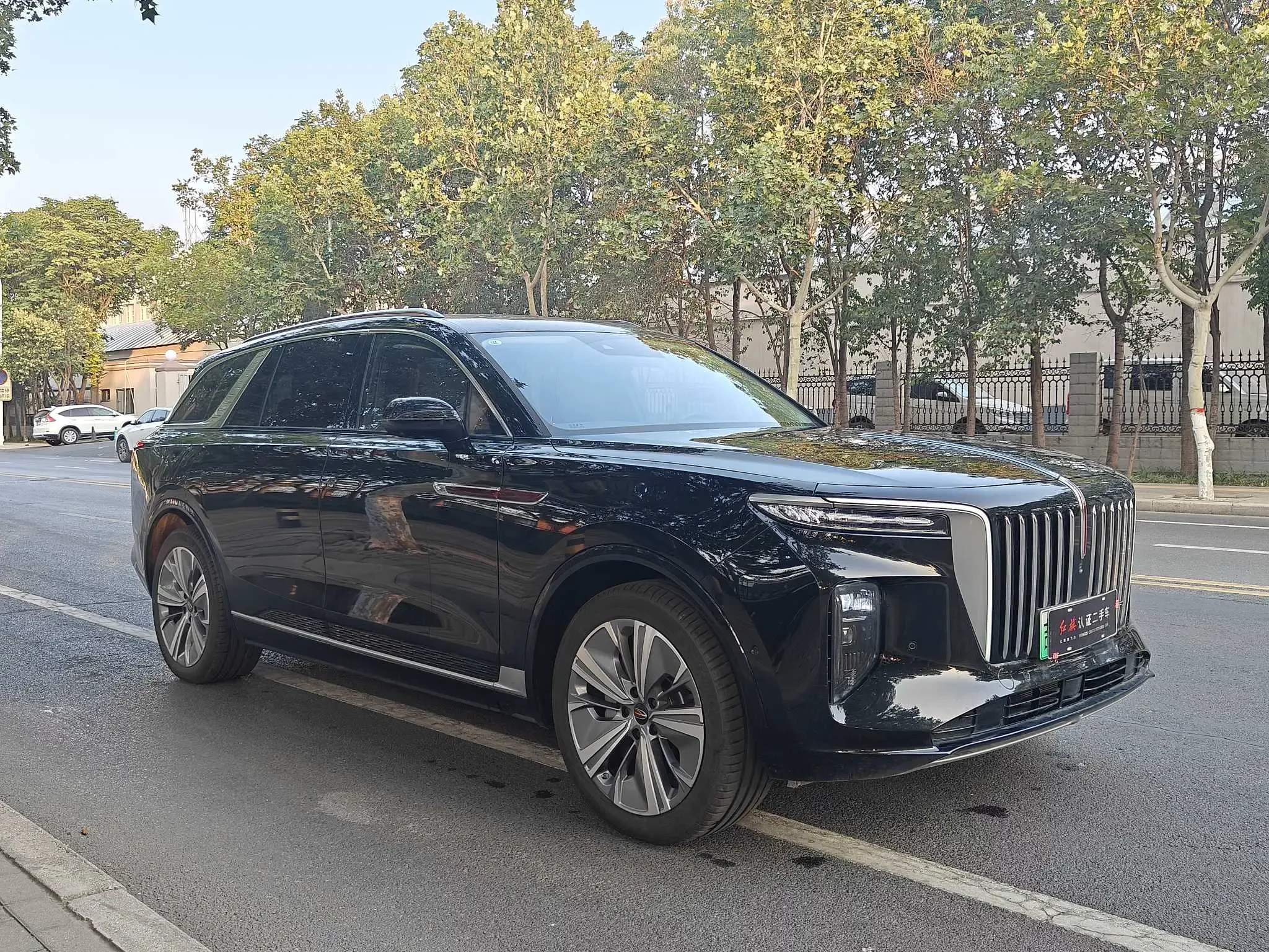 Hongqi E-HS9