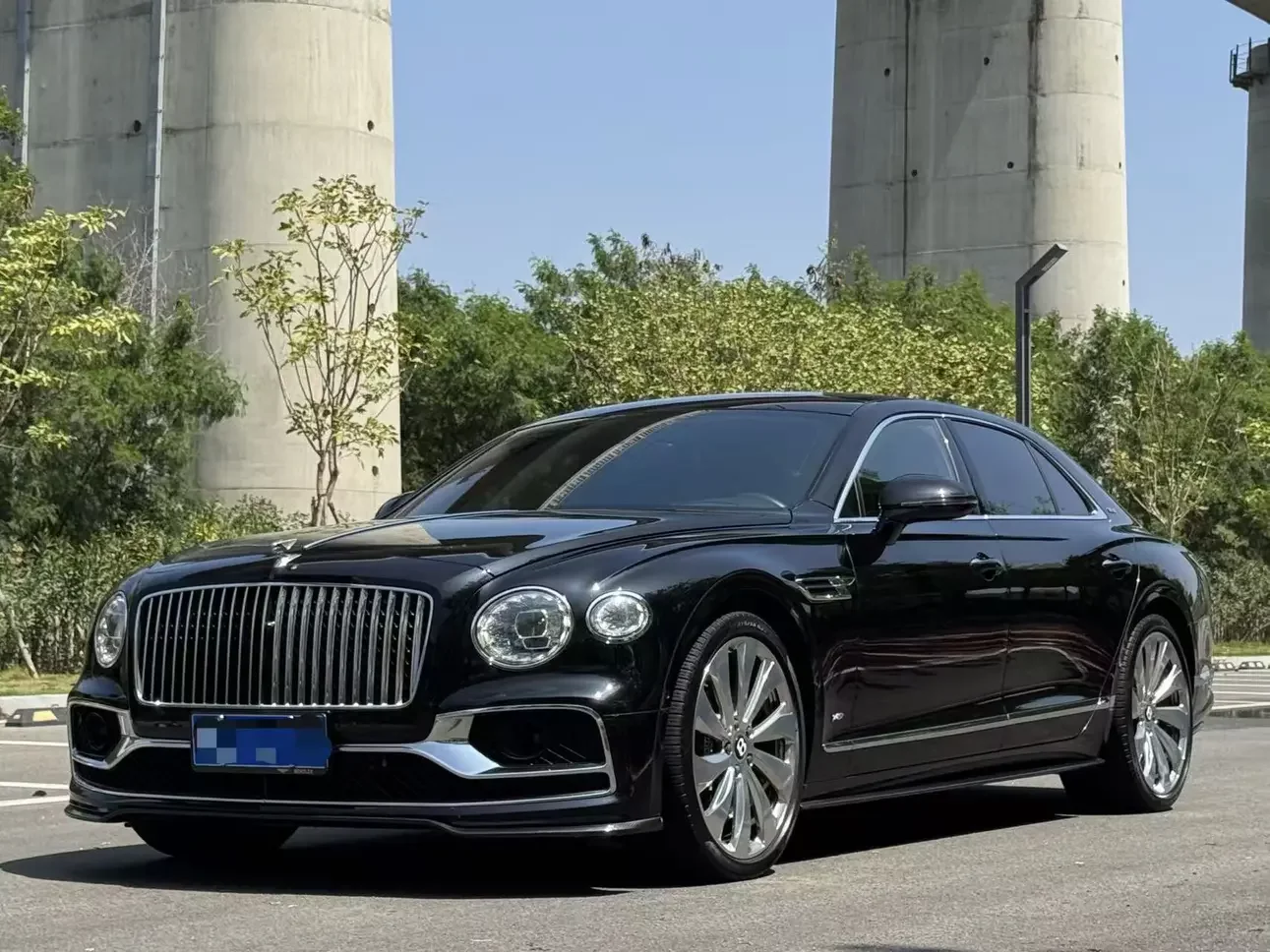 Bentley galloping