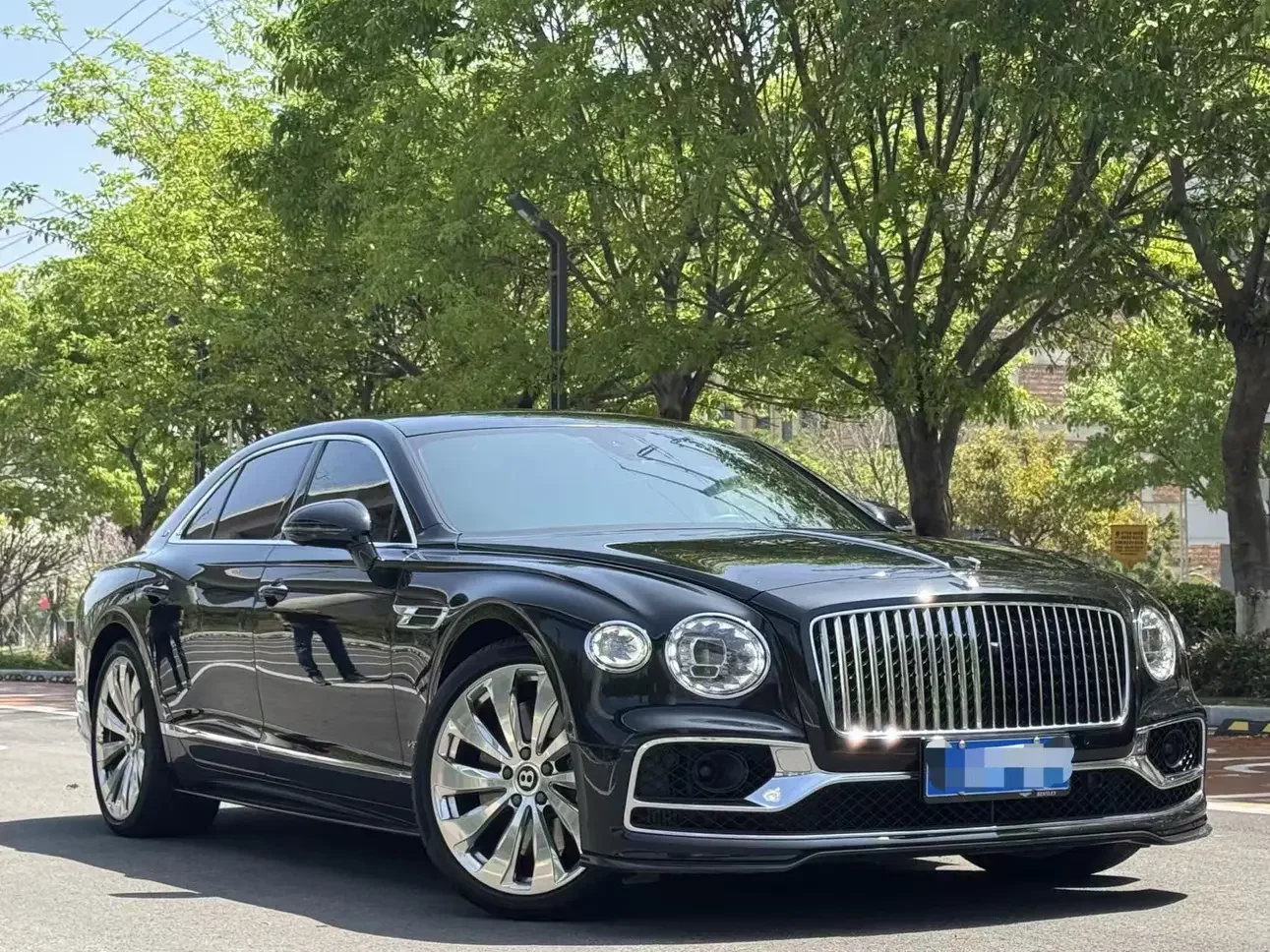 Bentley galloping
