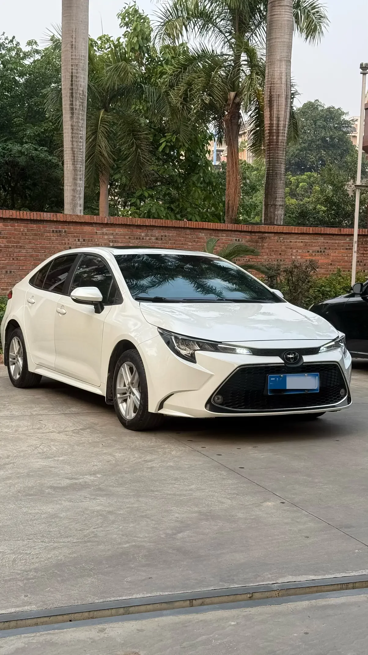 Toyota Levin