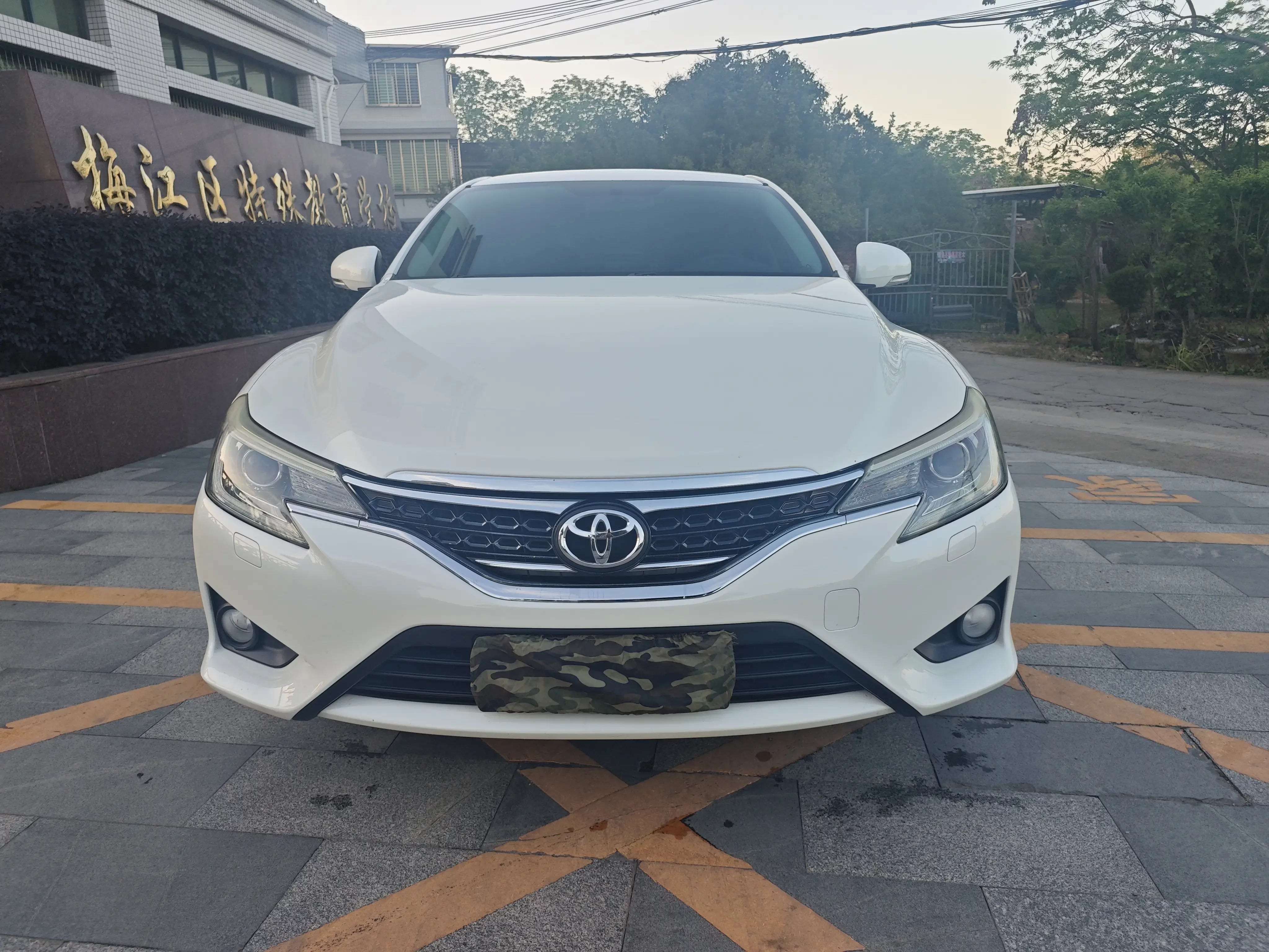 Toyota Ruizhi