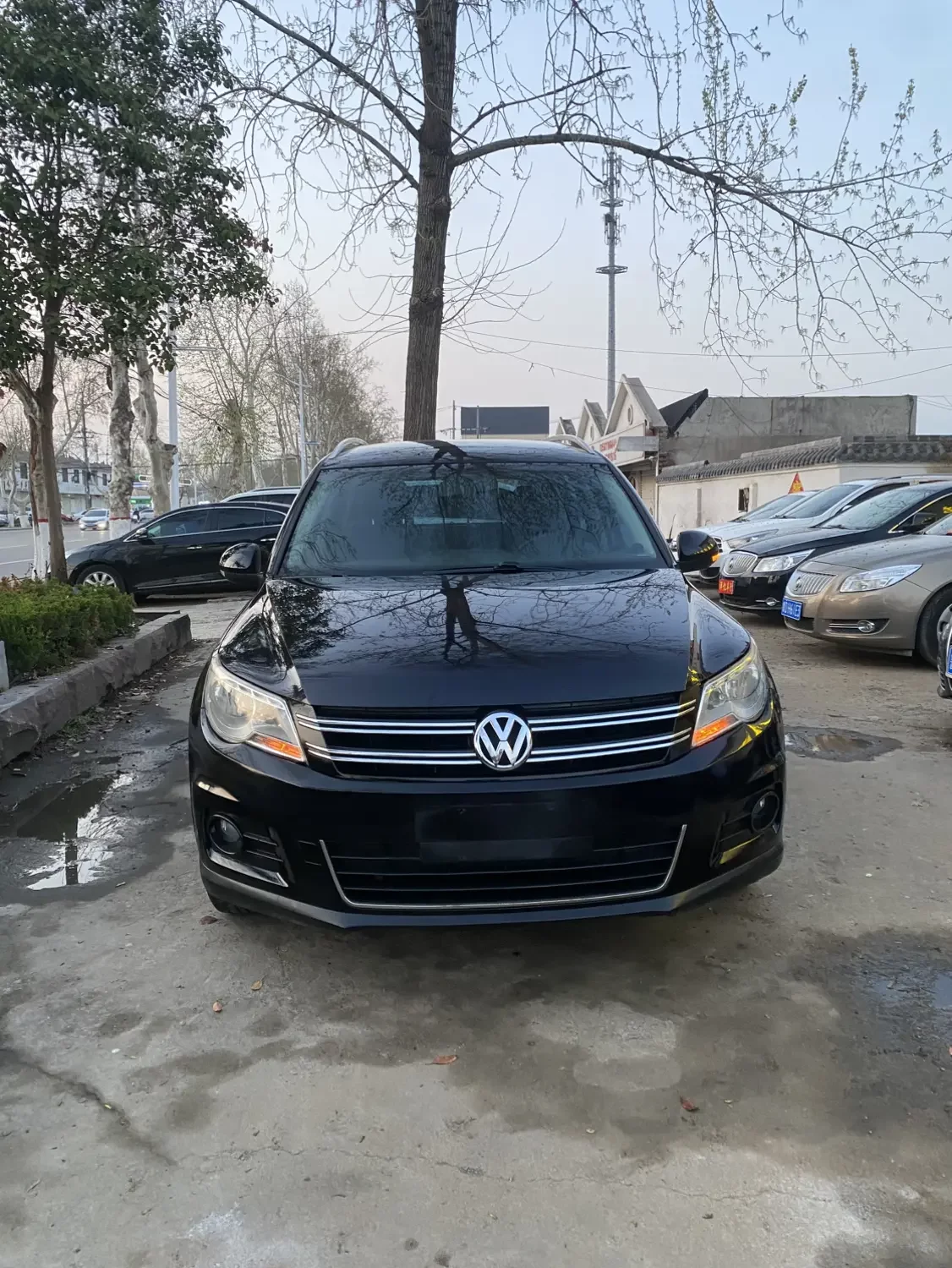 Volkswagen Tiguan (Tharu)