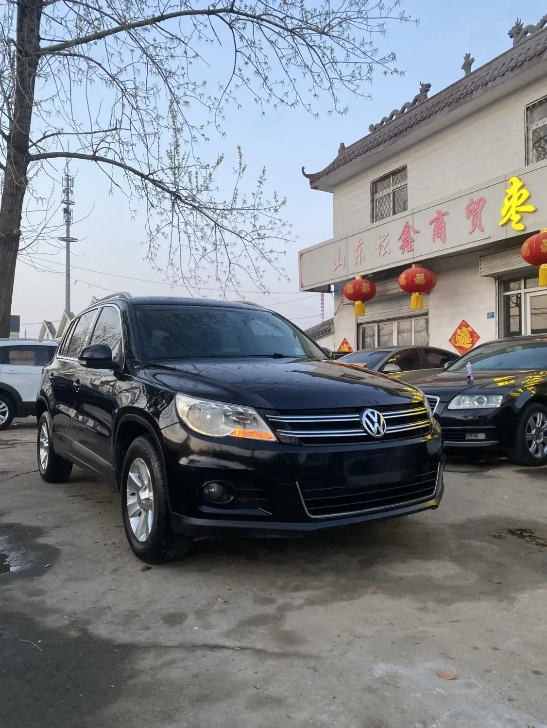 Volkswagen Tiguan (Tharu)