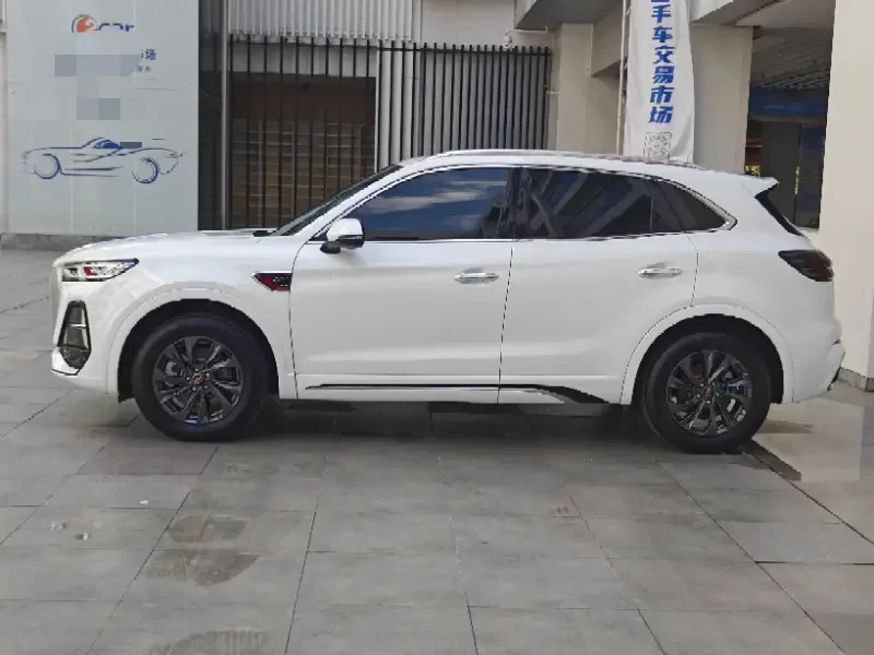 Hongqi HS5