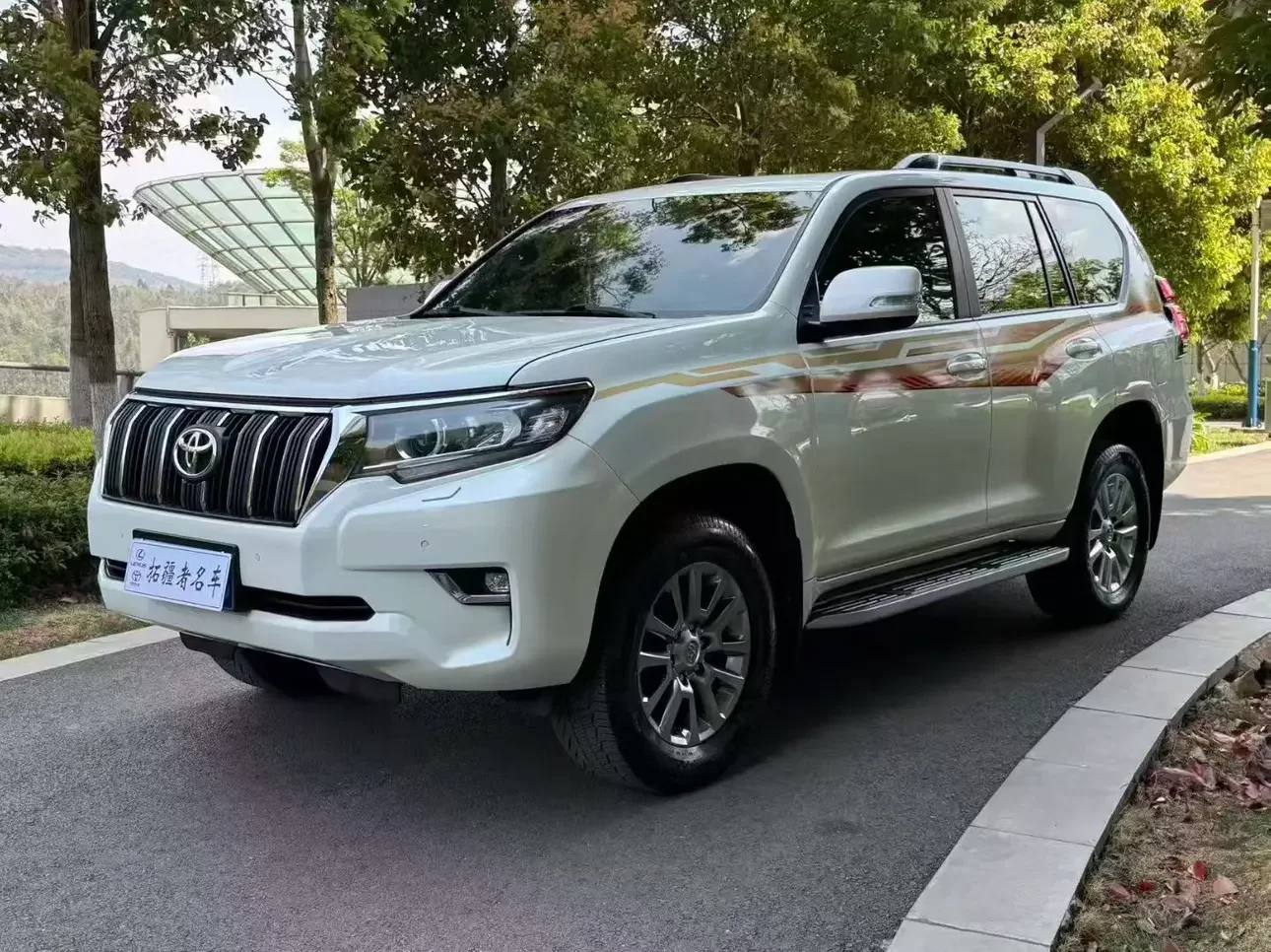 Toyota prado