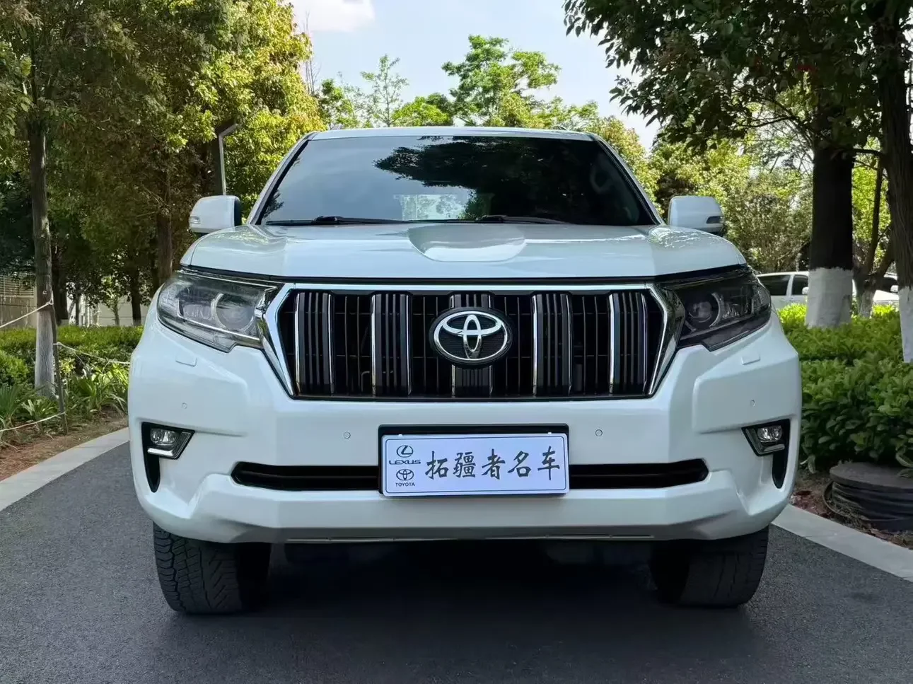 Toyota prado
