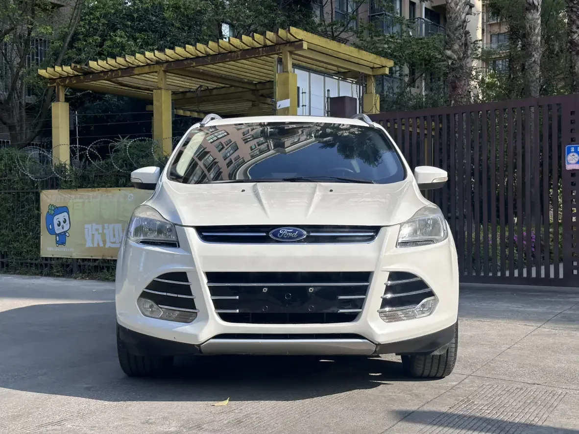 Ford wing tiger