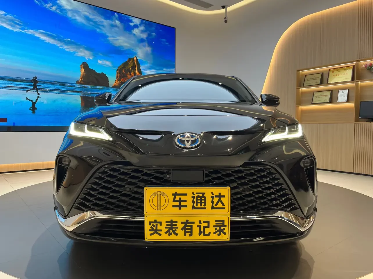 Toyota Venza