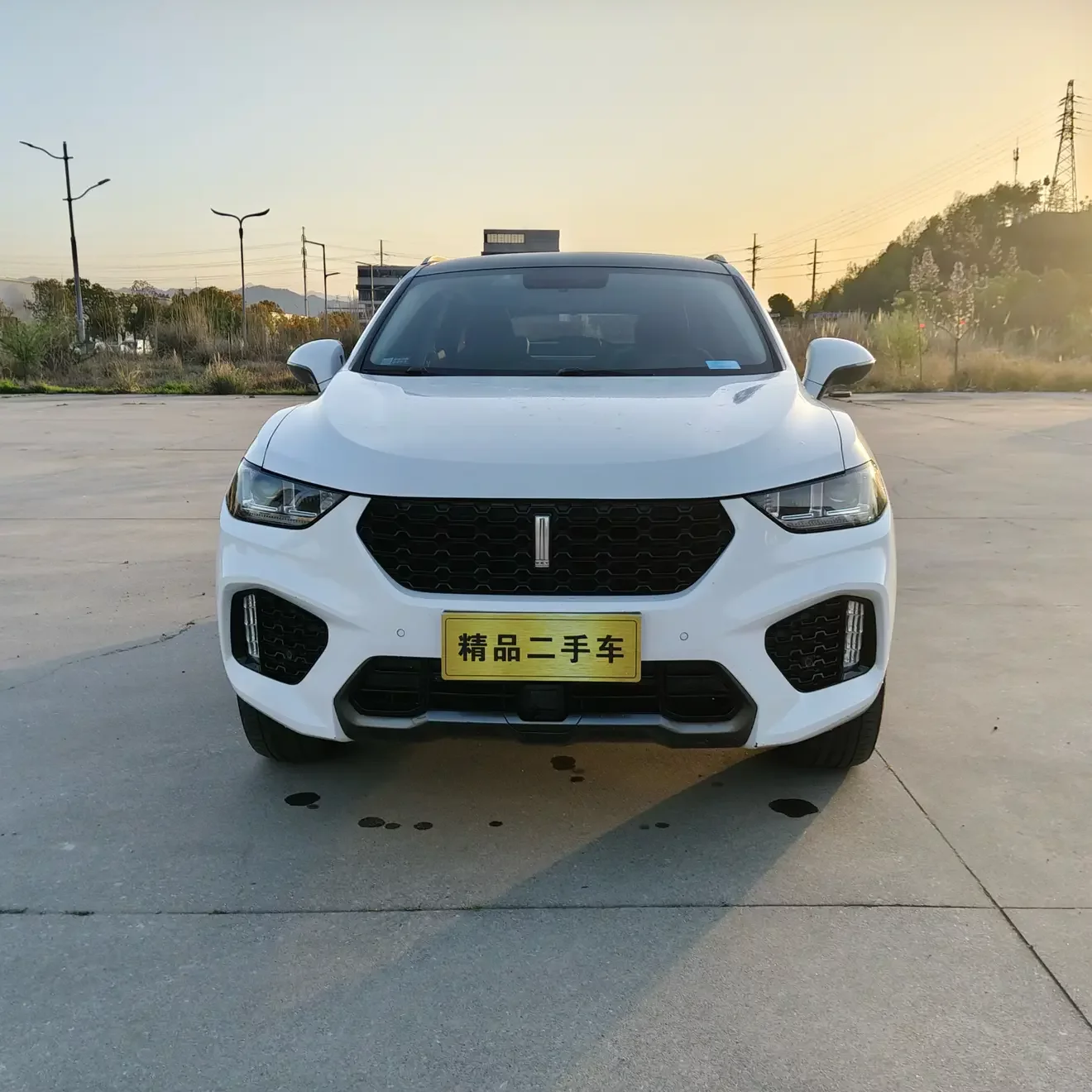 Wey Wei brand VV5