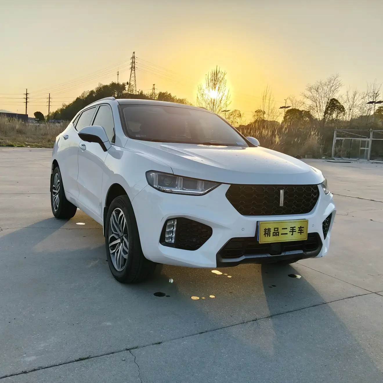 Wey Wei brand VV5