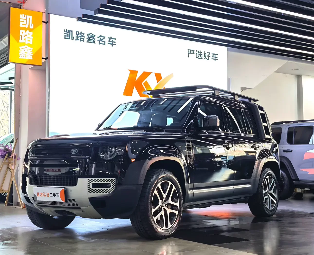 Land Rover guard