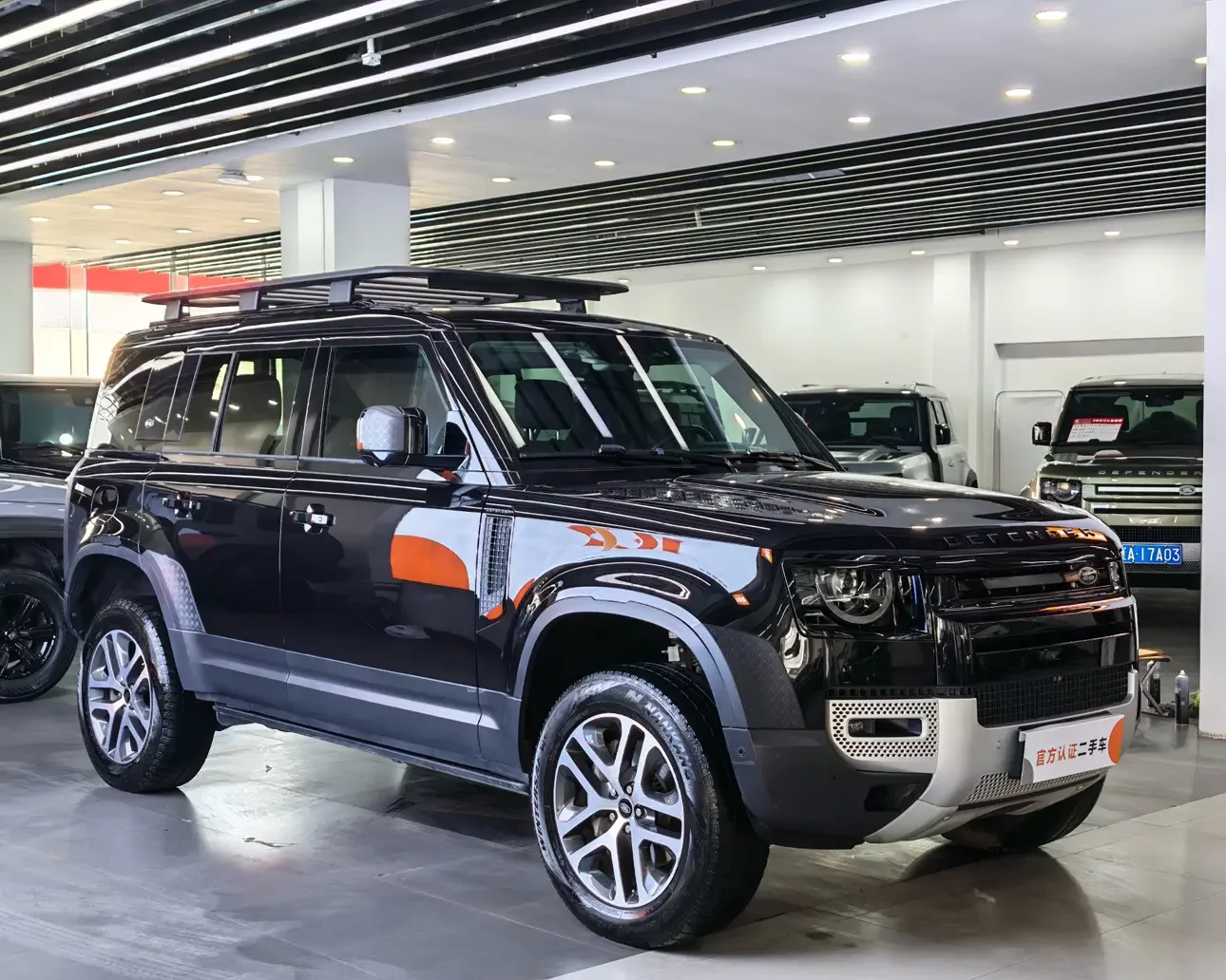 Land Rover guard