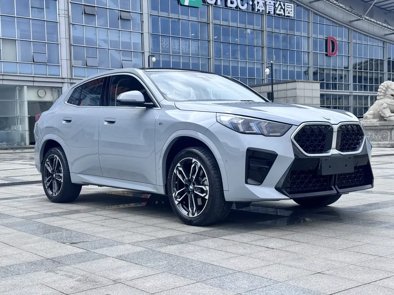 BMW X2