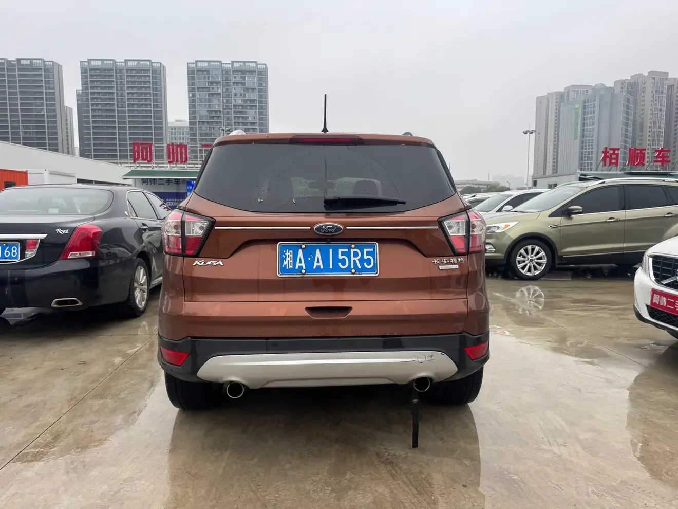 Ford wing tiger