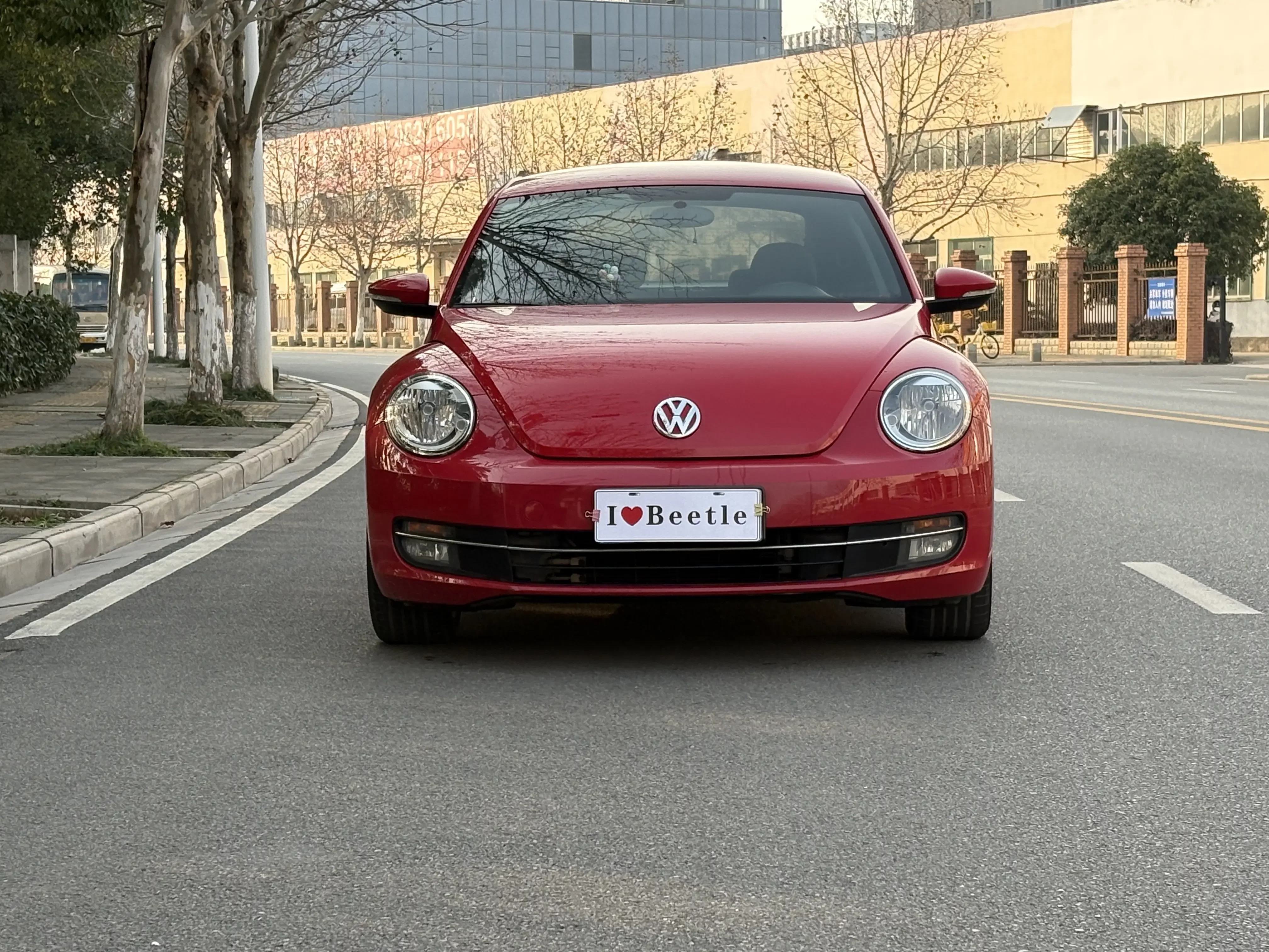 Volkswagen Beetle