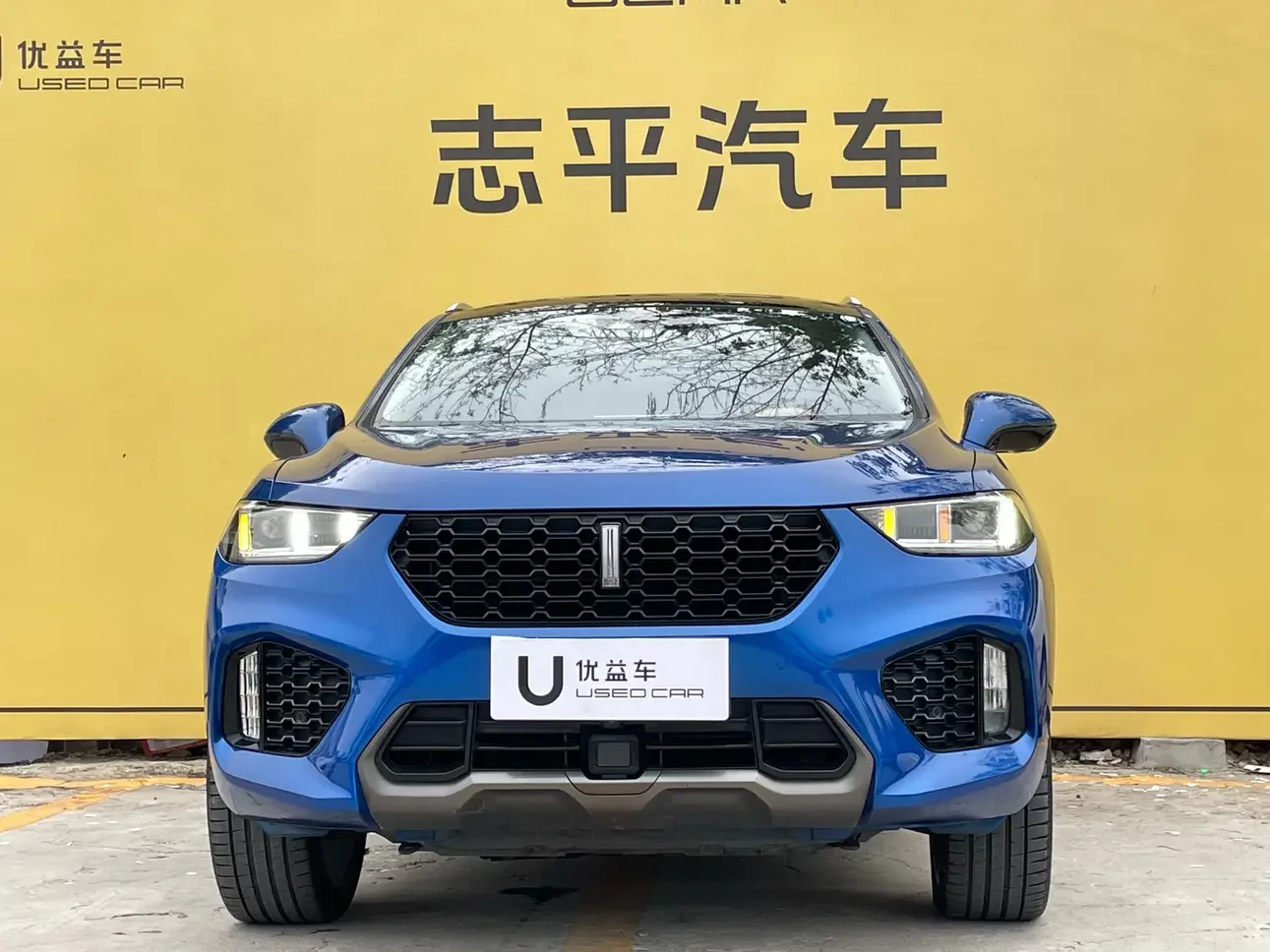 Wey Wei brand VV5