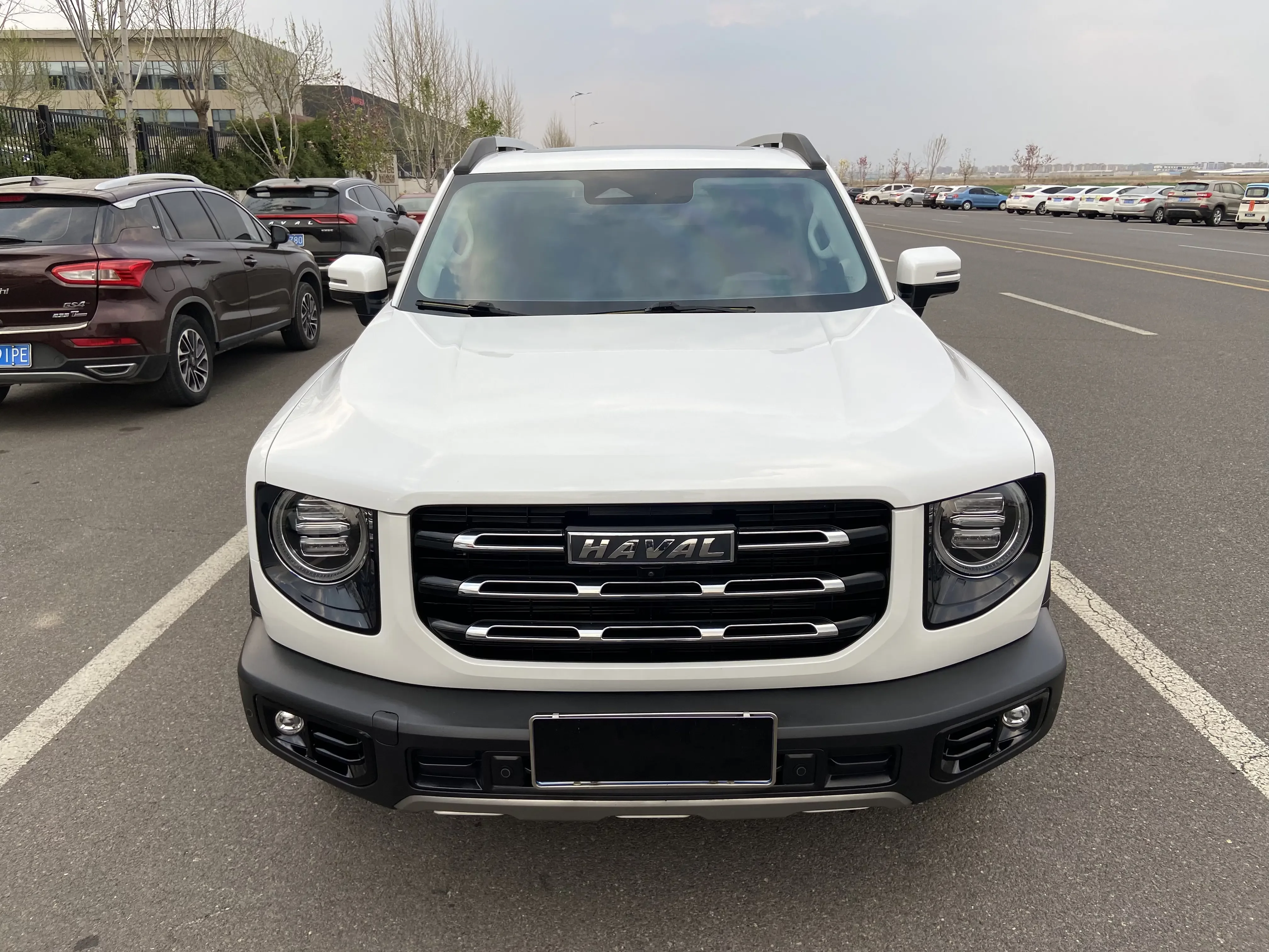 Haval Dargo