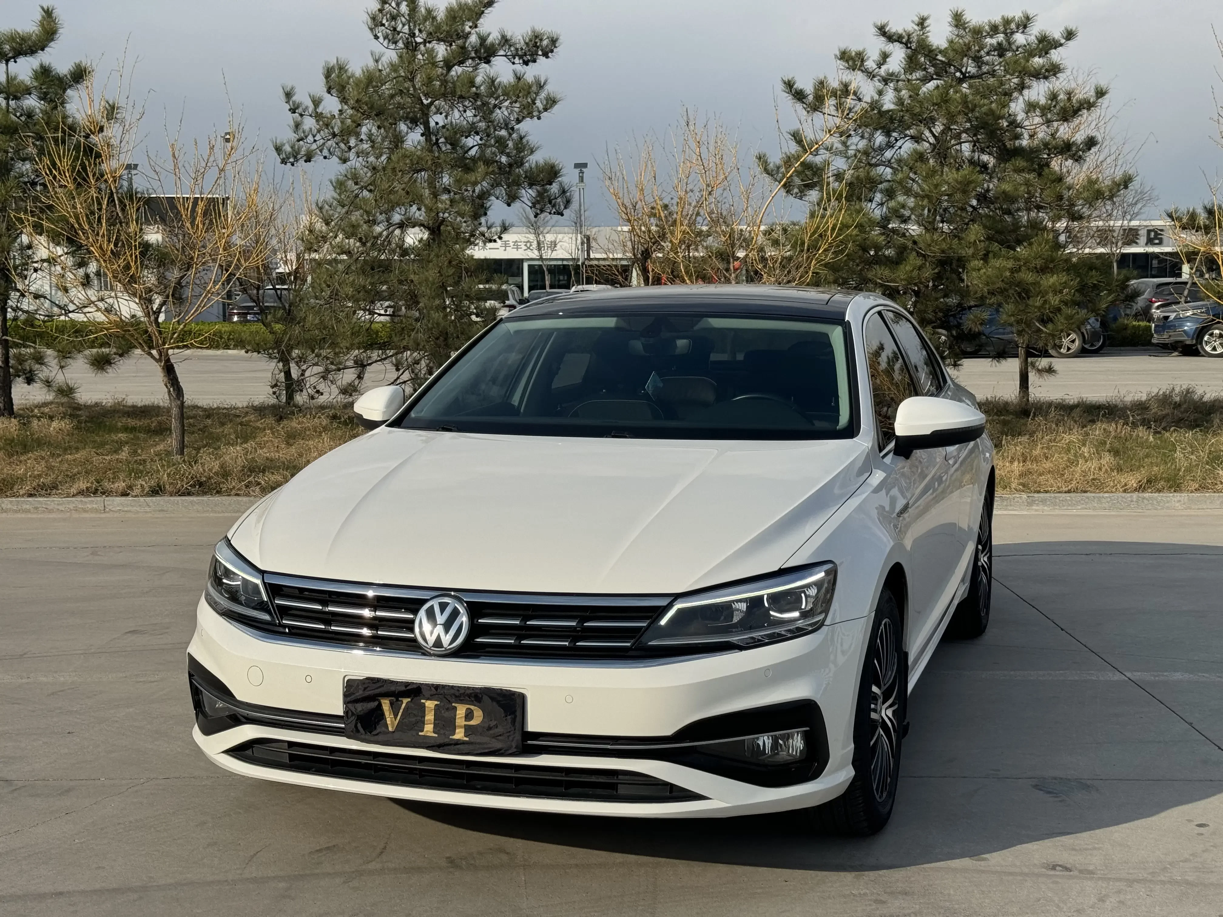 Volkswagen Lamando