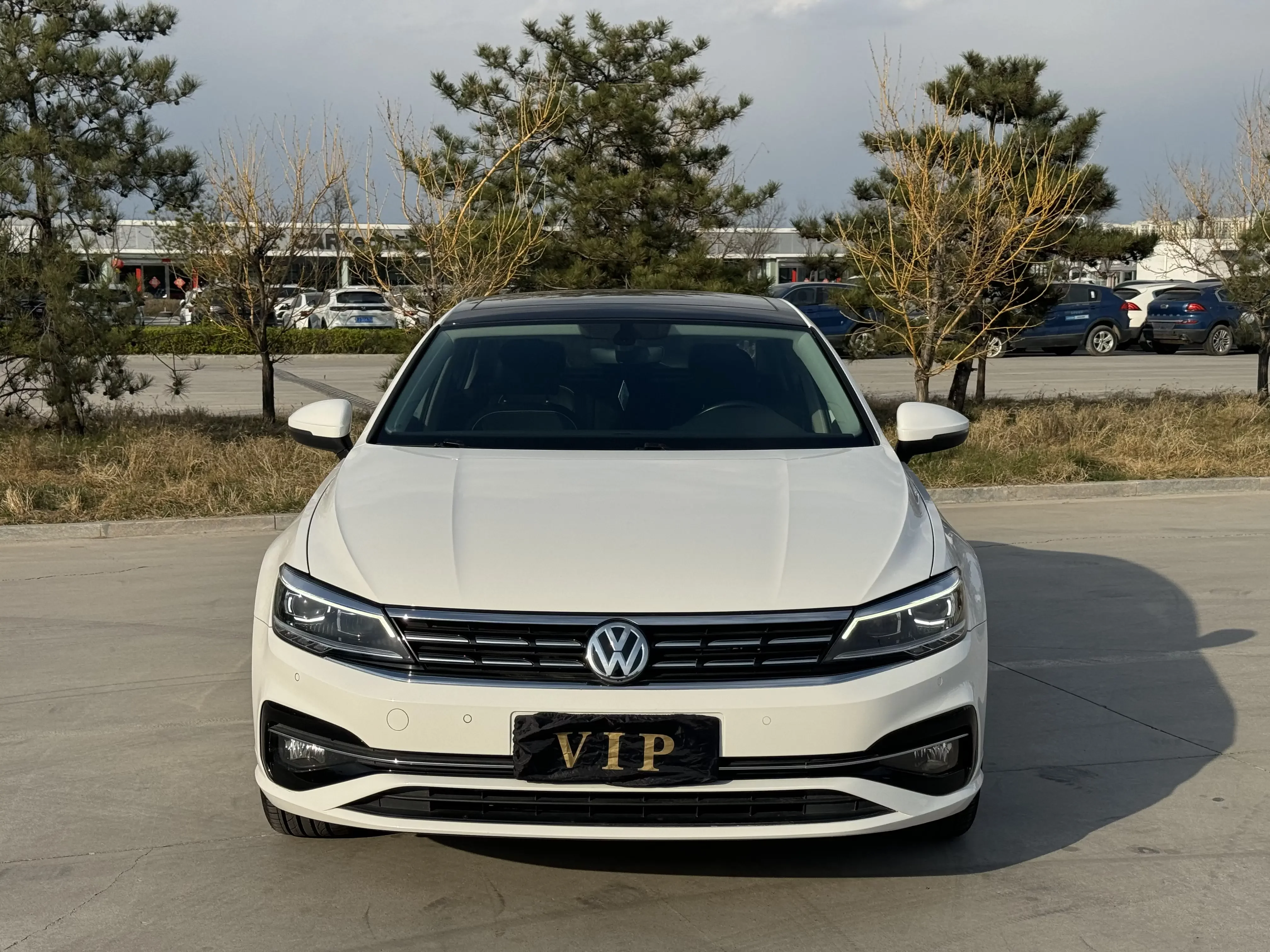 Volkswagen Lamando