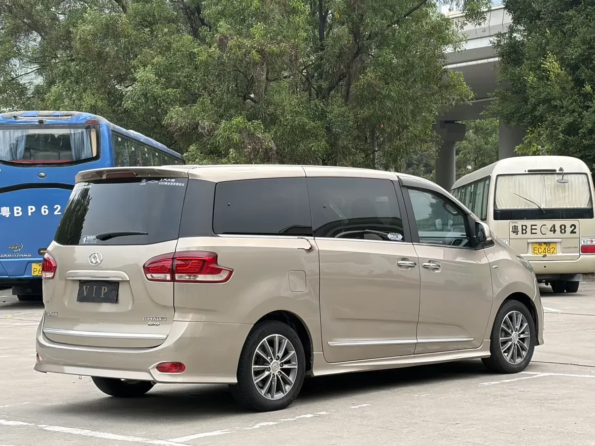 Datong Maxus G10