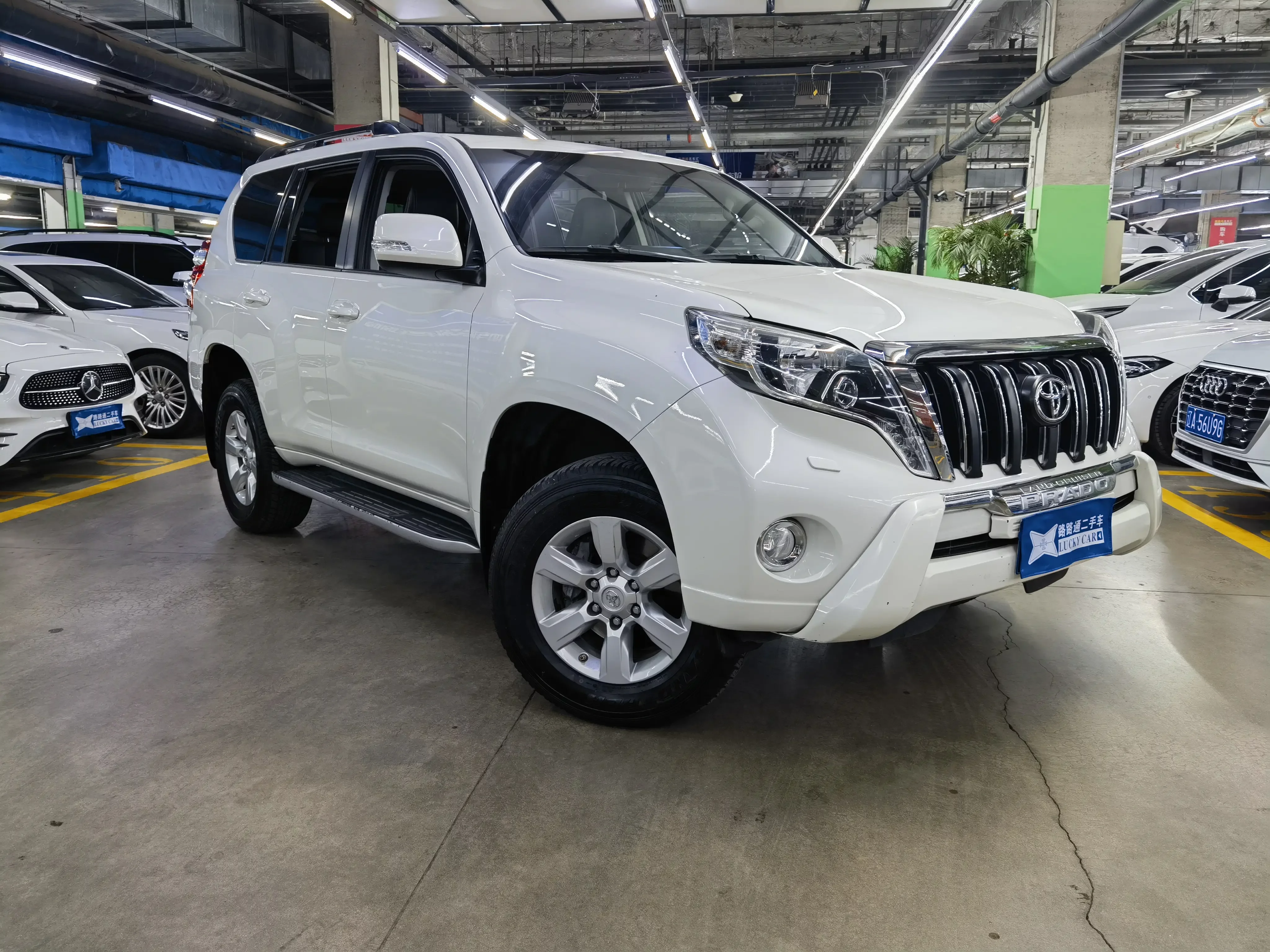 Toyota prado